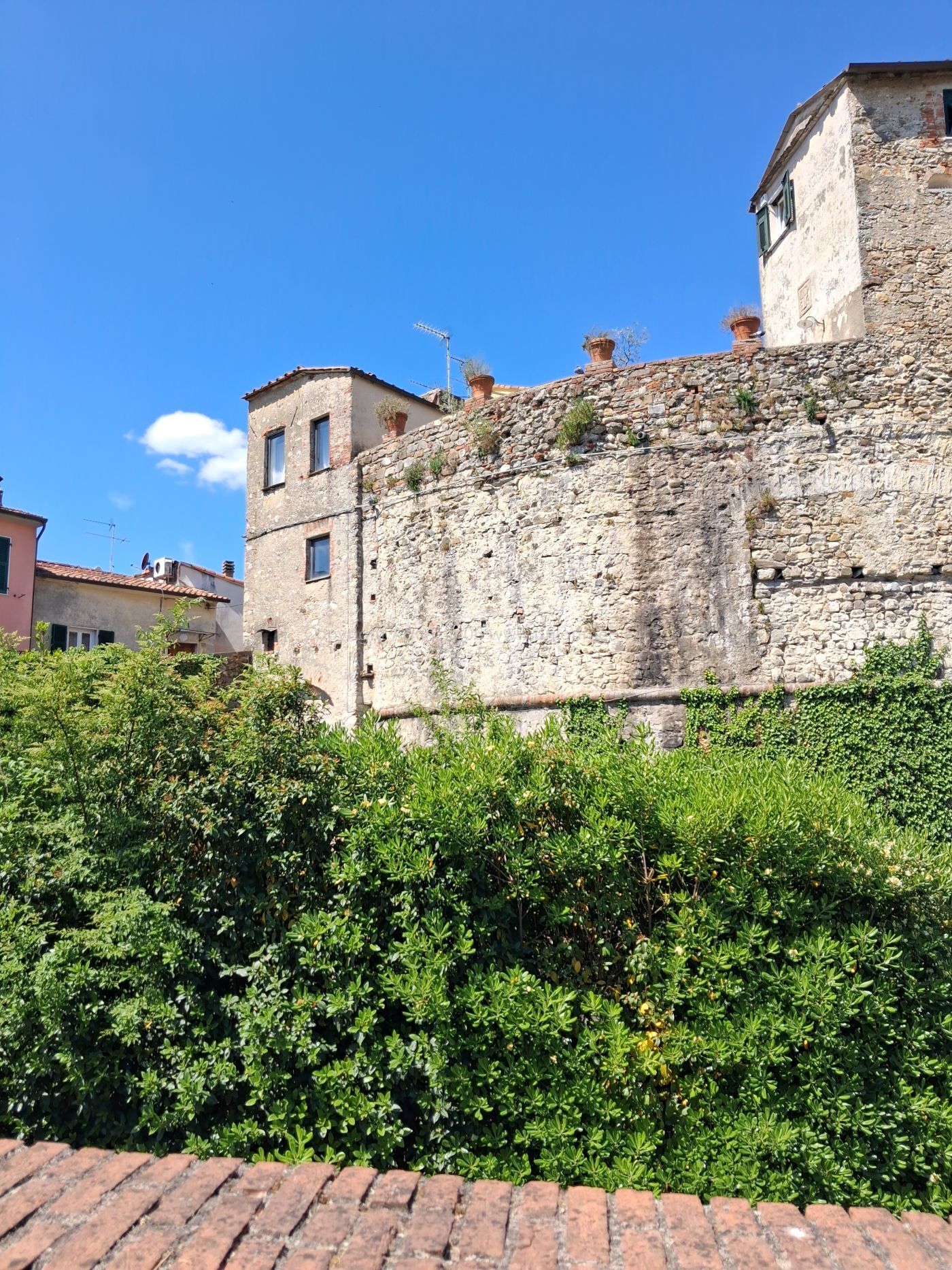 Foto annuncio 7