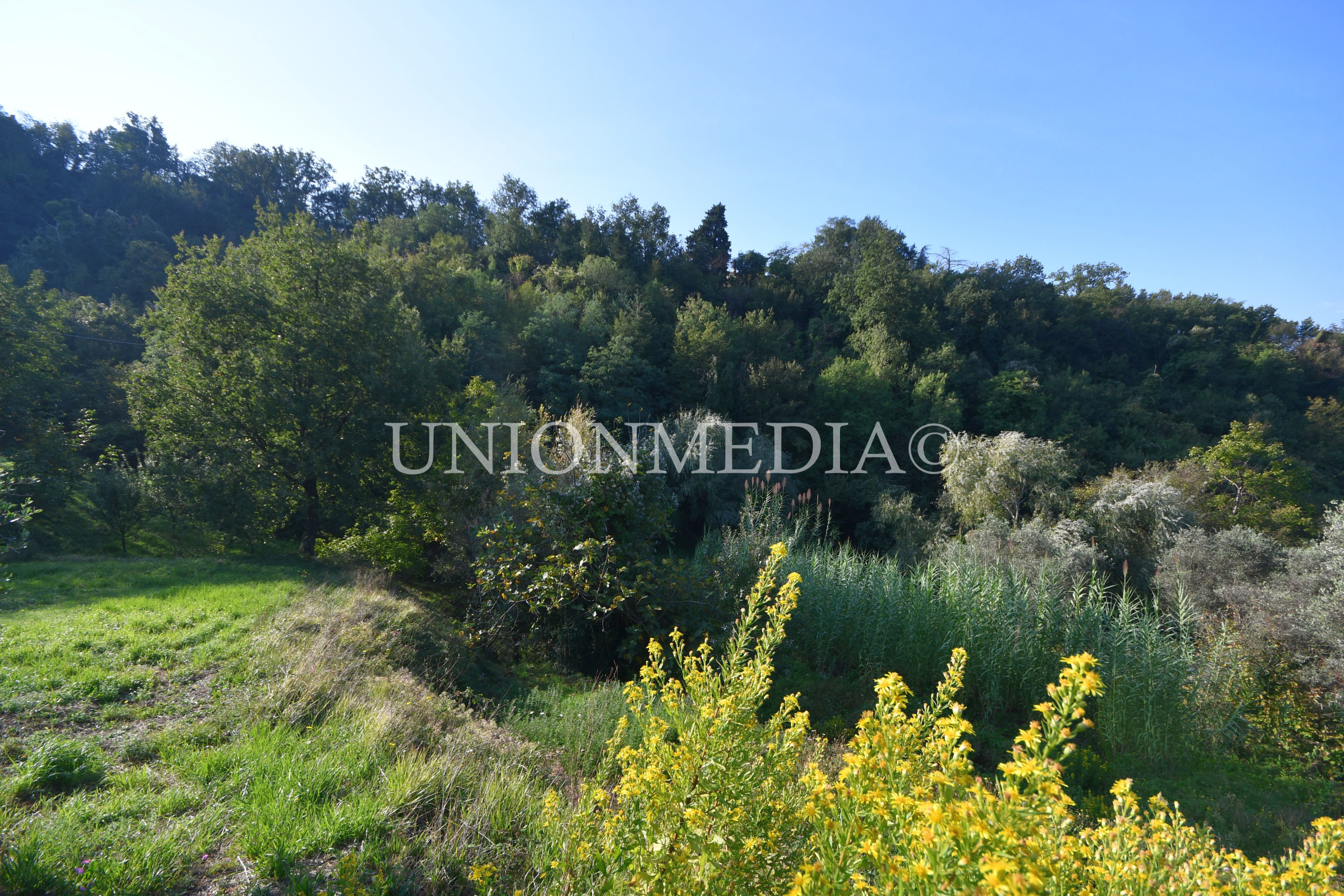 Immagine 36 di Casa indipendente in vendita  in Via boccognano a Fosdinovo