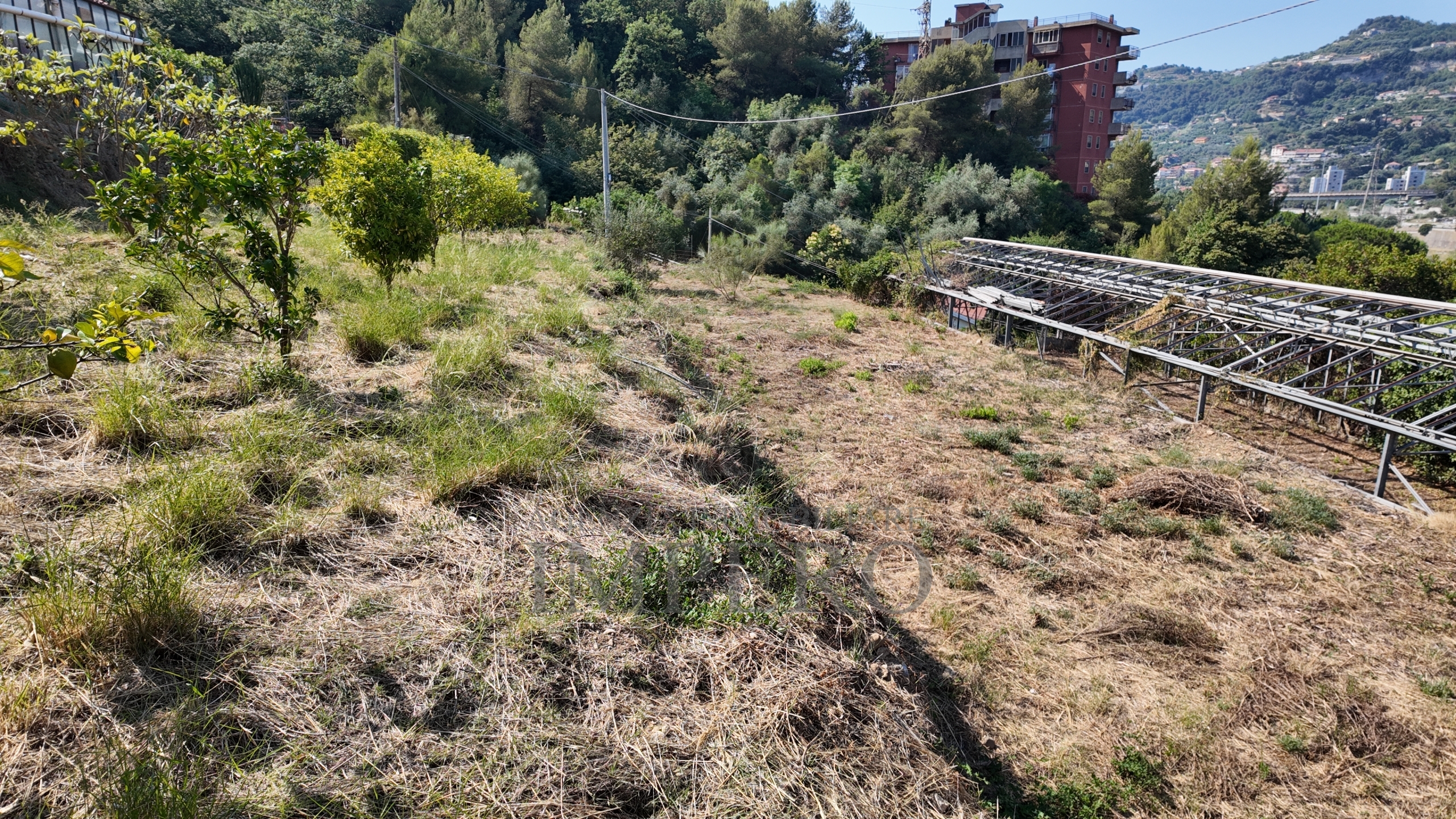 Foto annuncio 22
