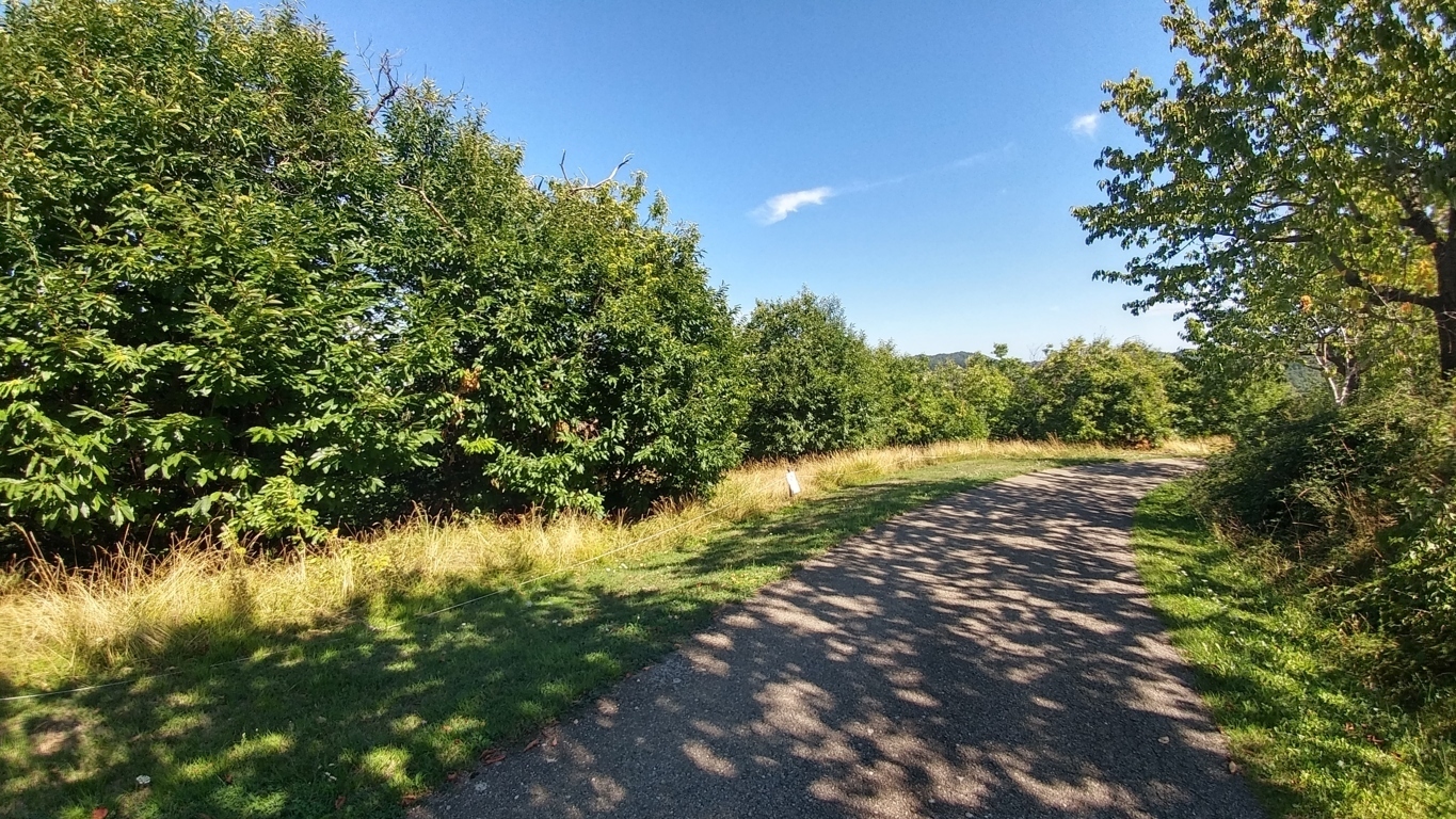 Immagine 50 di Rustico / casale in vendita  in Via Mauro Tesi 1046 a Zocca