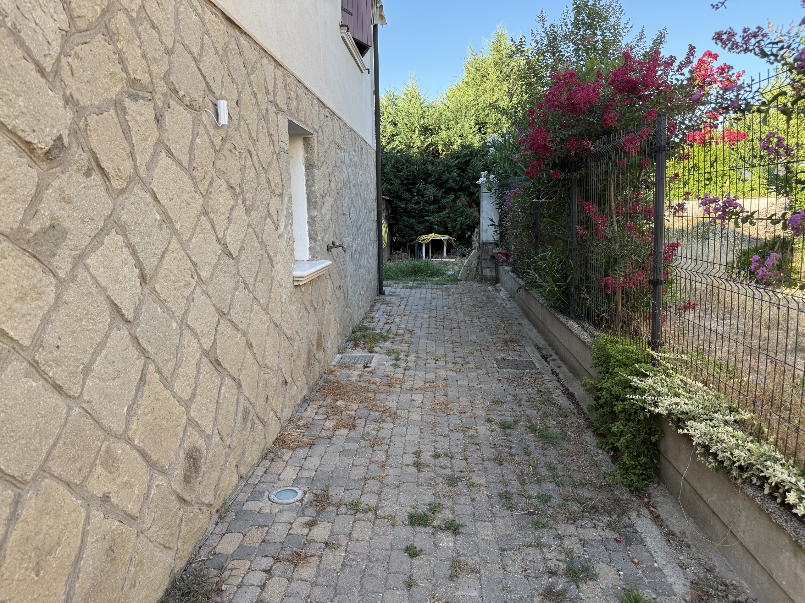 Foto annuncio 5