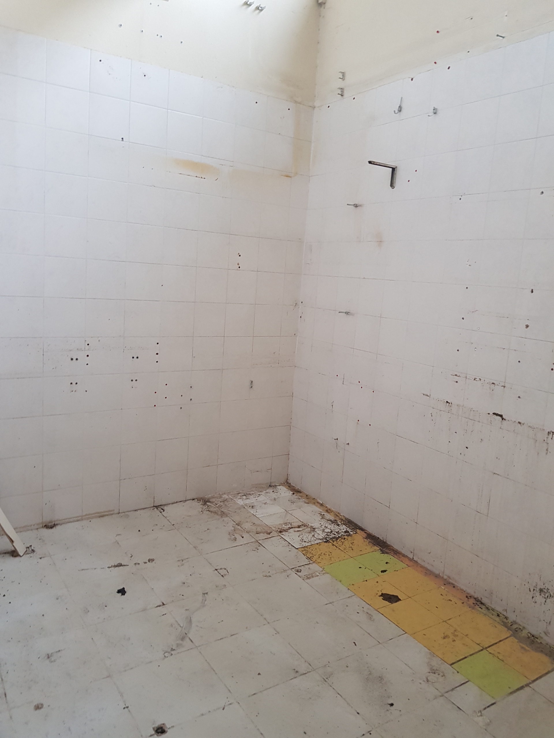 Immagine 3 di Capannone industriale in vendita  in Via della Madonnina a Capannori