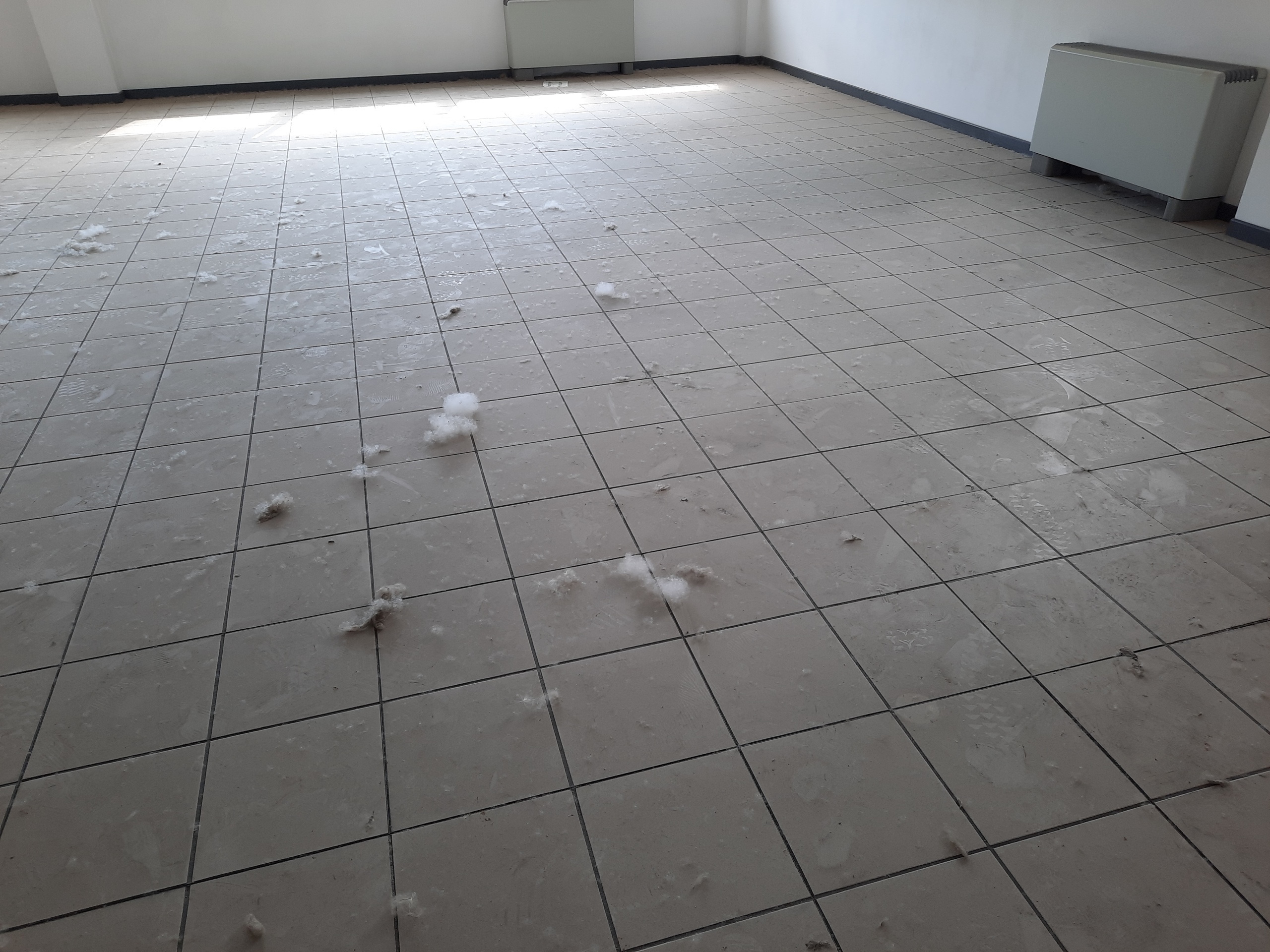 Immagine 5 di Ufficio in affitto  in Viale G. Puccini a Lucca