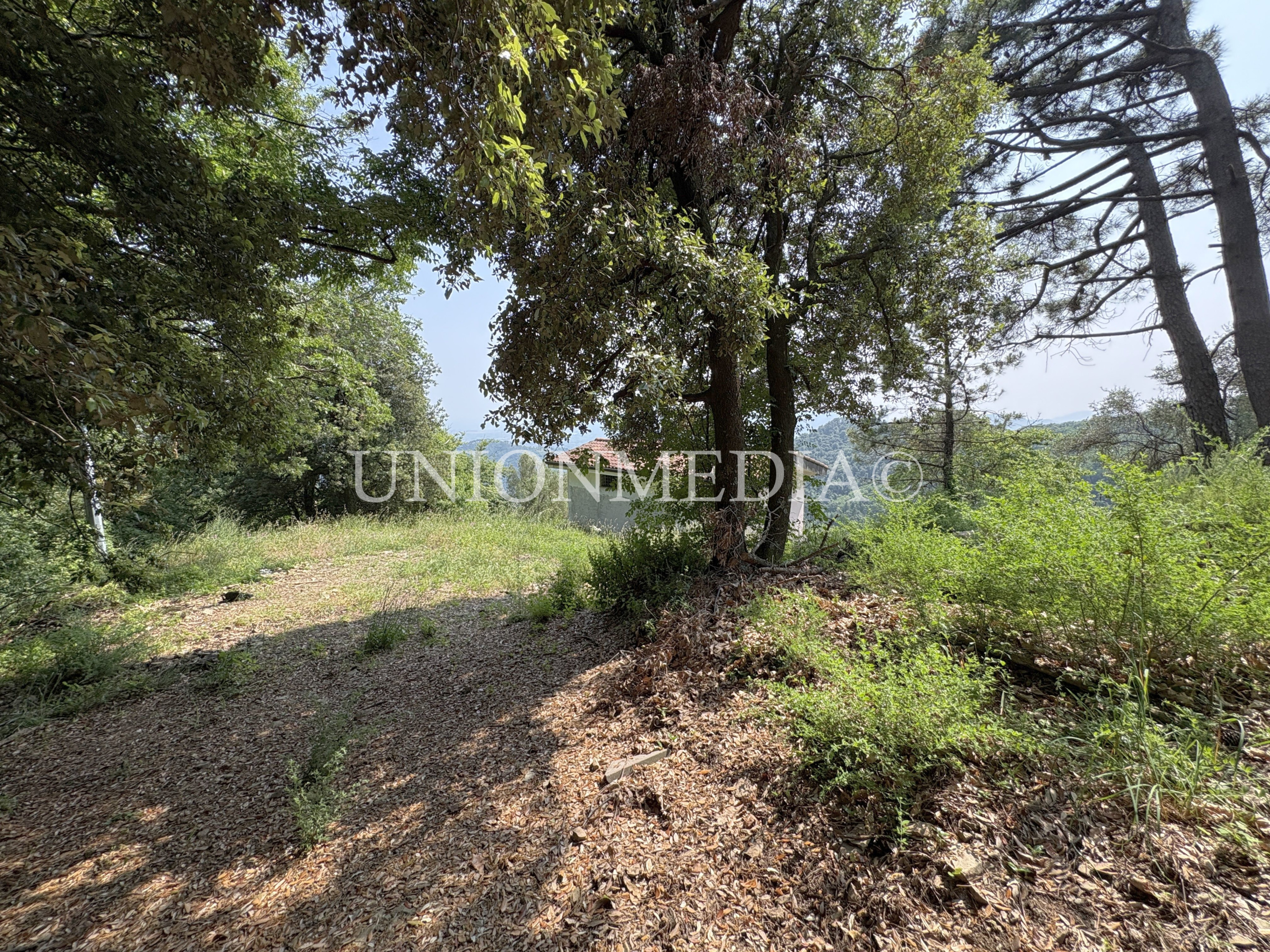 Immagine 13 di Rustico / casale in vendita  in via carignano a Fosdinovo