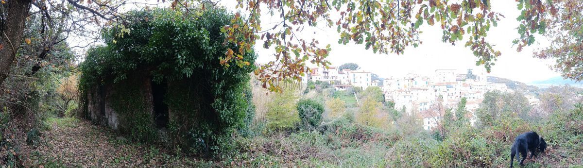 Immagine 14 di Casa indipendente in vendita  a Arcola