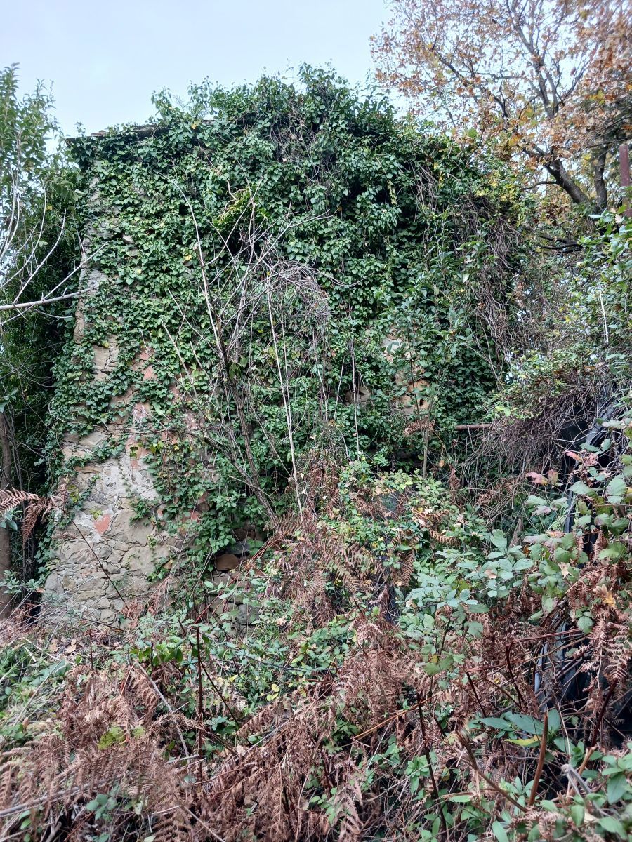 Immagine 6 di Casa indipendente in vendita  a Arcola