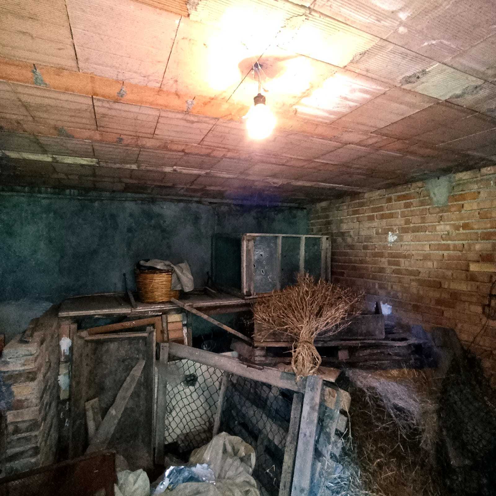 Foto annuncio 11