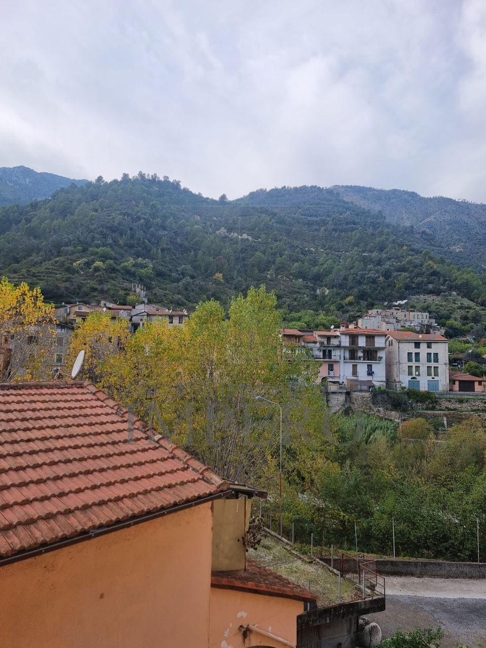 Foto annuncio 24