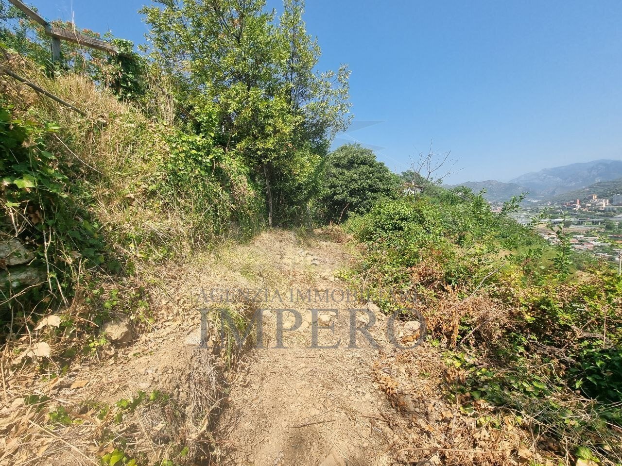 Foto annuncio 10