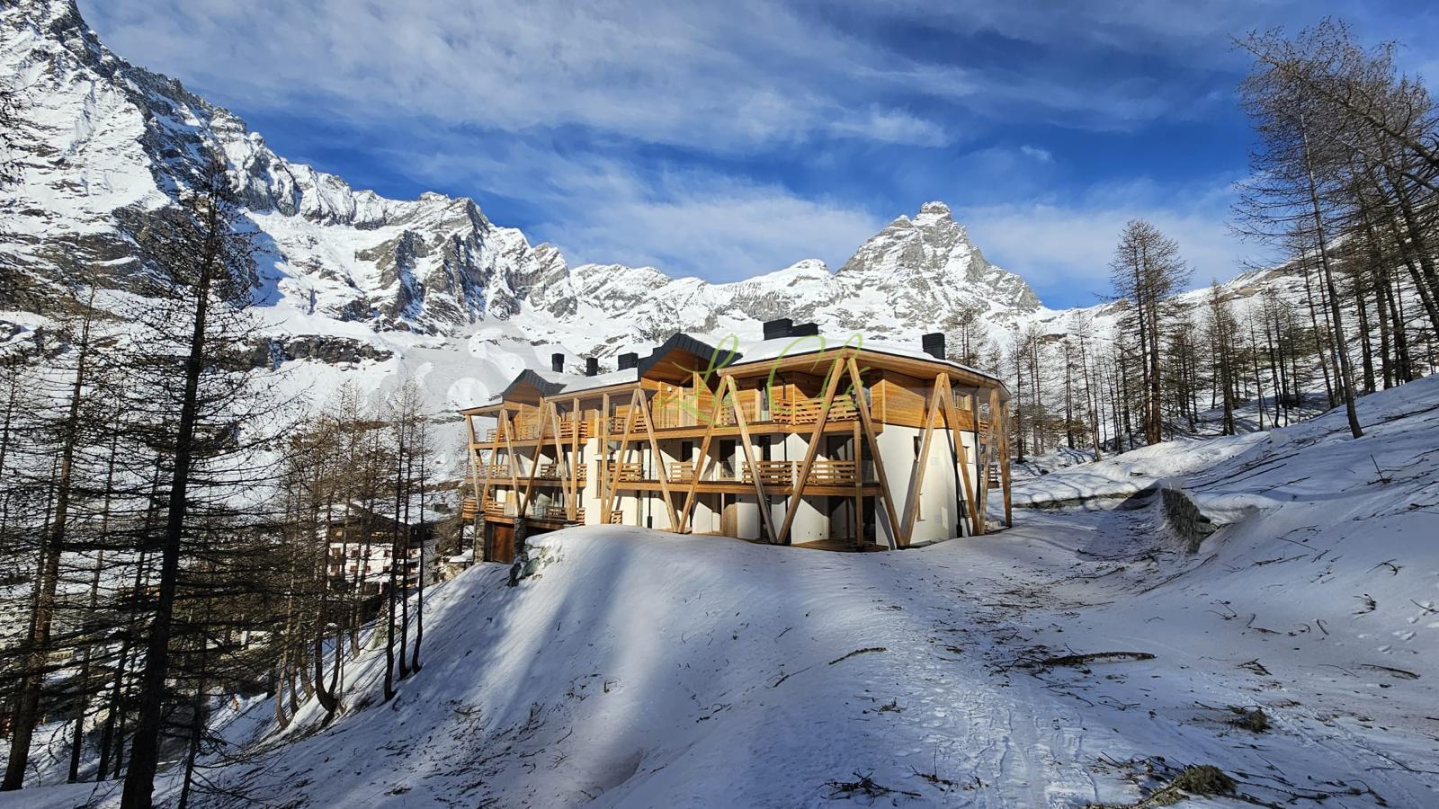 Immagine 14 di Trilocale in affitto  a Valtournenche