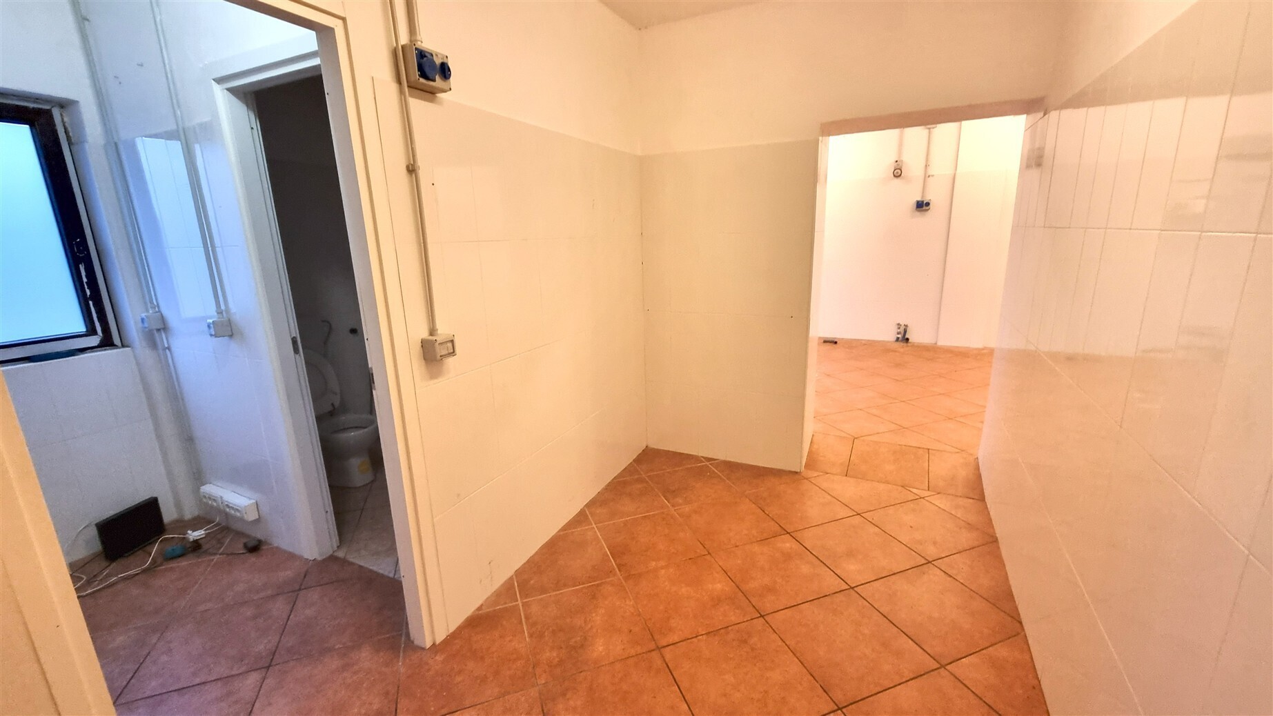 Foto annuncio 10