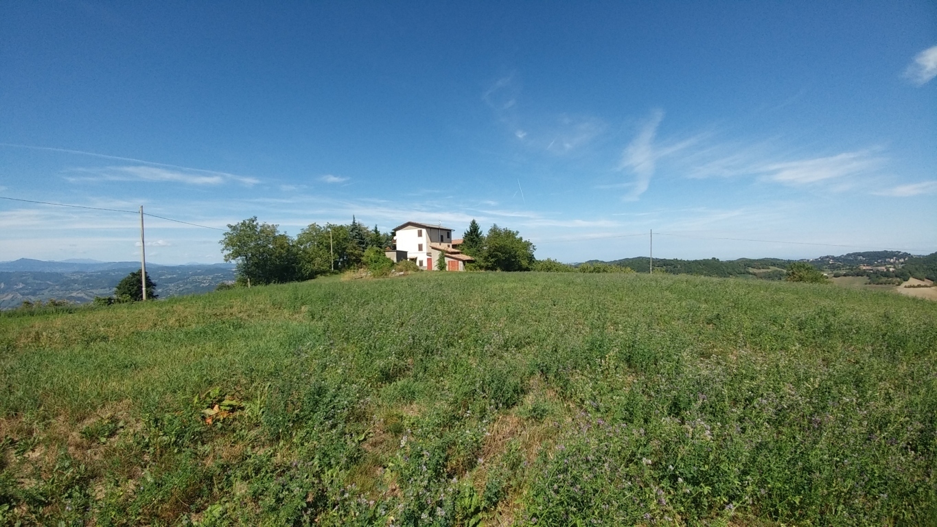Immagine 47 di Rustico / casale in vendita  in Via Mauro Tesi 1046 a Zocca
