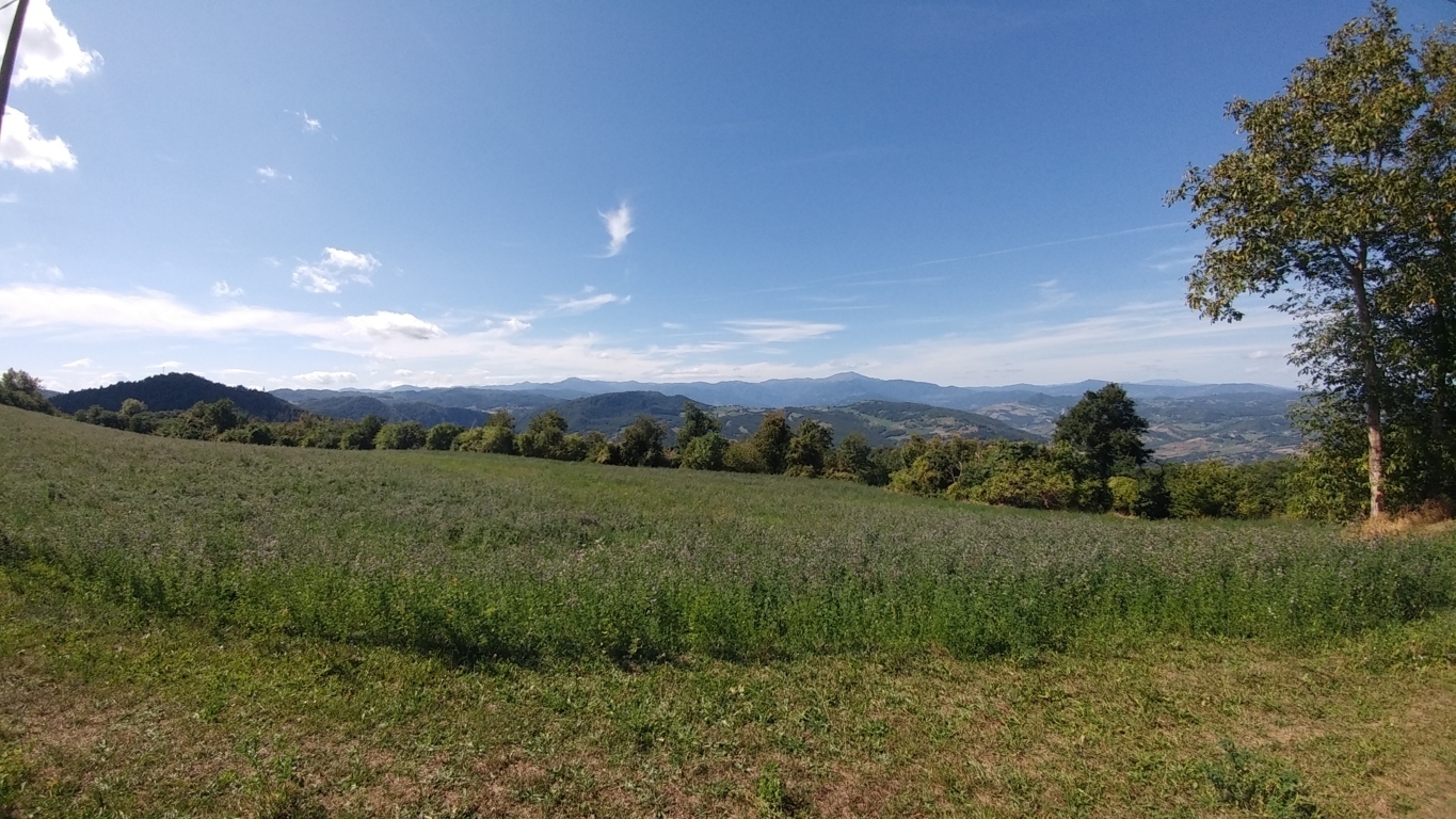 Immagine 48 di Rustico / casale in vendita  in Via Mauro Tesi 1046 a Zocca