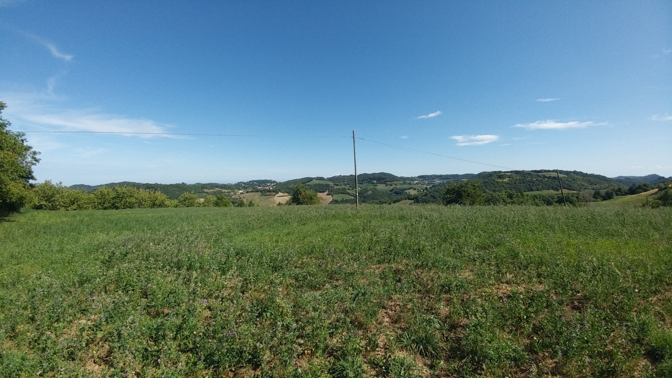 Immagine 40 di Rustico / casale in vendita  in Via Mauro Tesi 1046 a Zocca