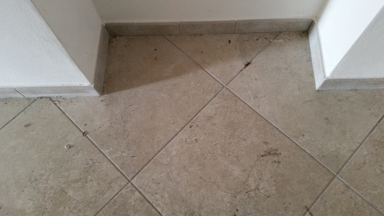 Immagine 6 di Attività artigianale in affitto  in Via Sarzanese 2691 a Lucca