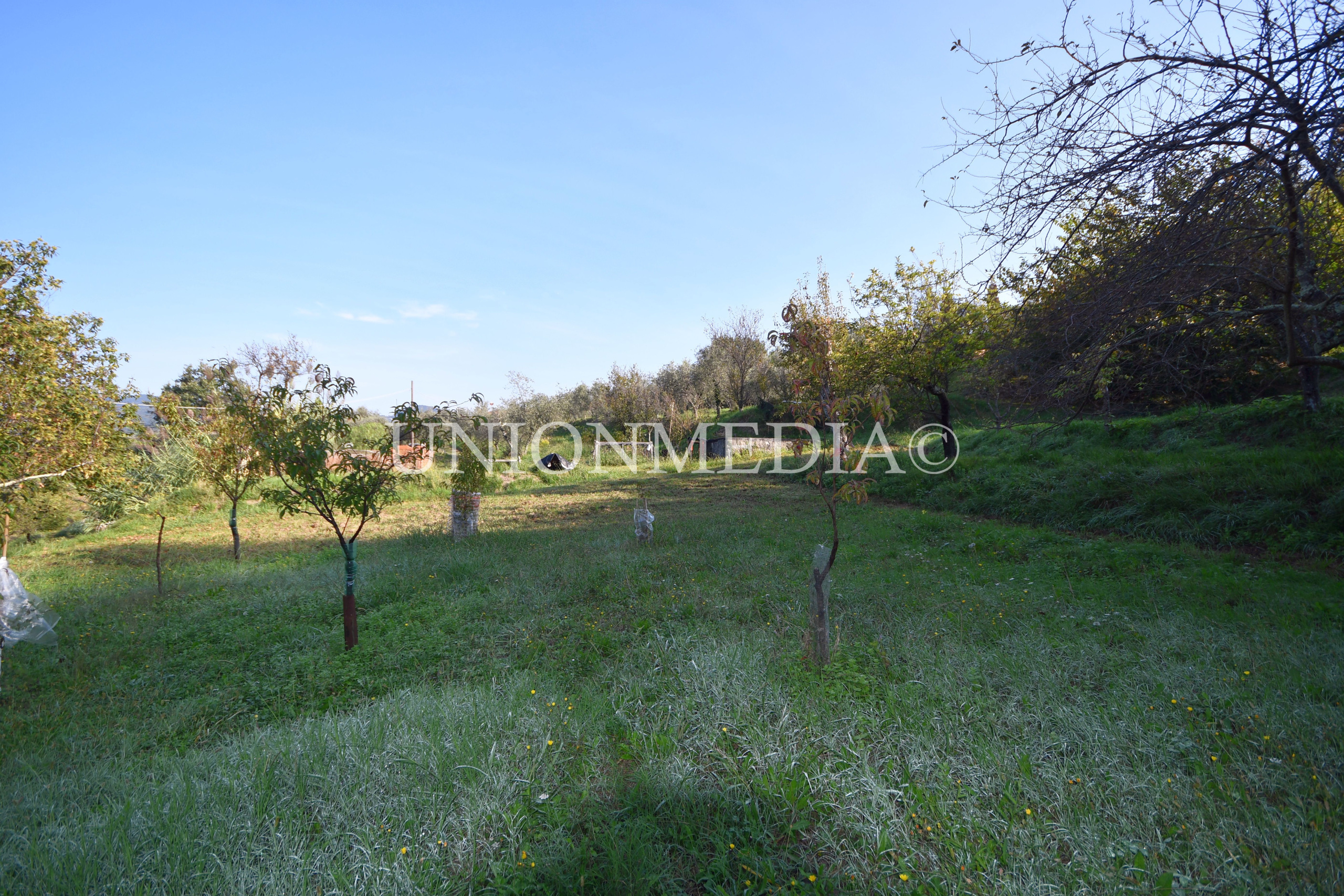 Immagine 35 di Casa indipendente in vendita  in Via boccognano a Fosdinovo