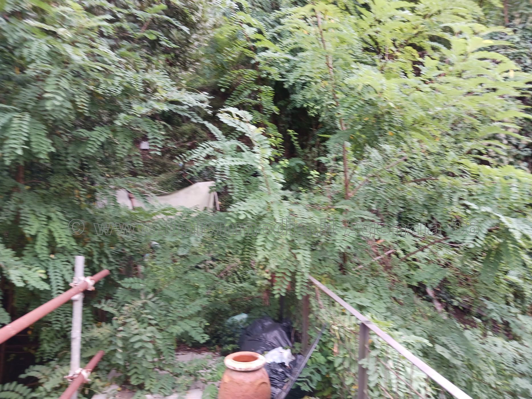 Immagine 9 di Appartamento in vendita  a Lerici