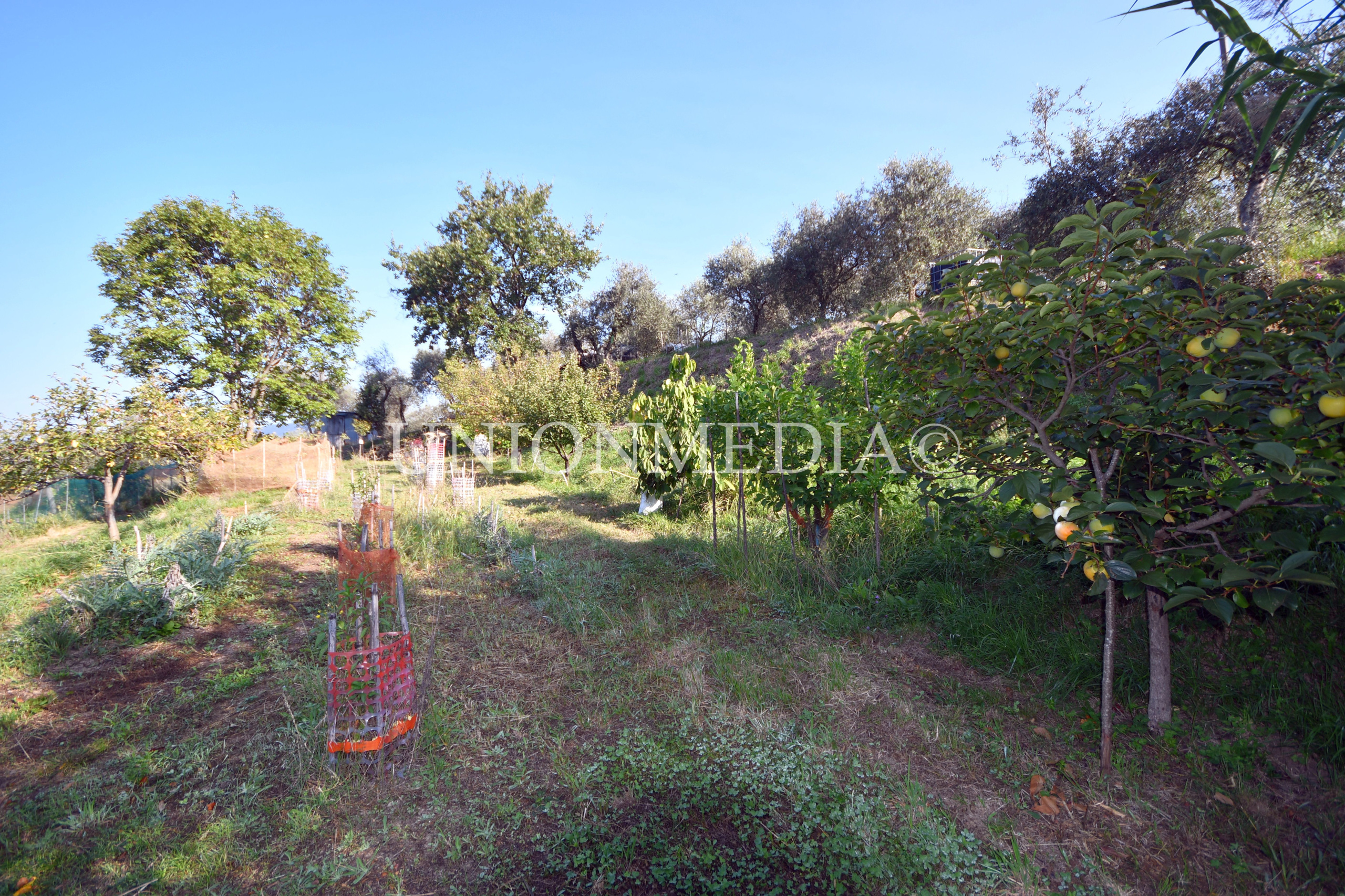 Immagine 37 di Casa indipendente in vendita  in Via boccognano a Fosdinovo