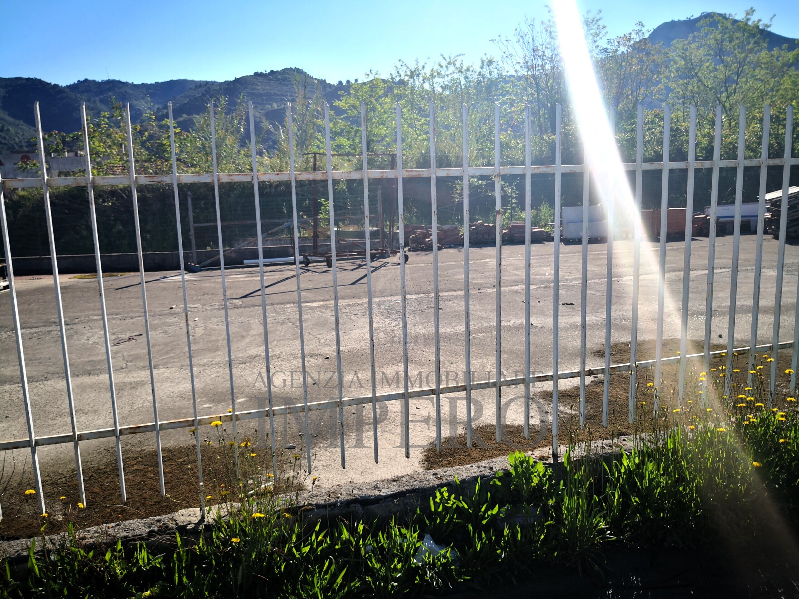 Foto annuncio 6
