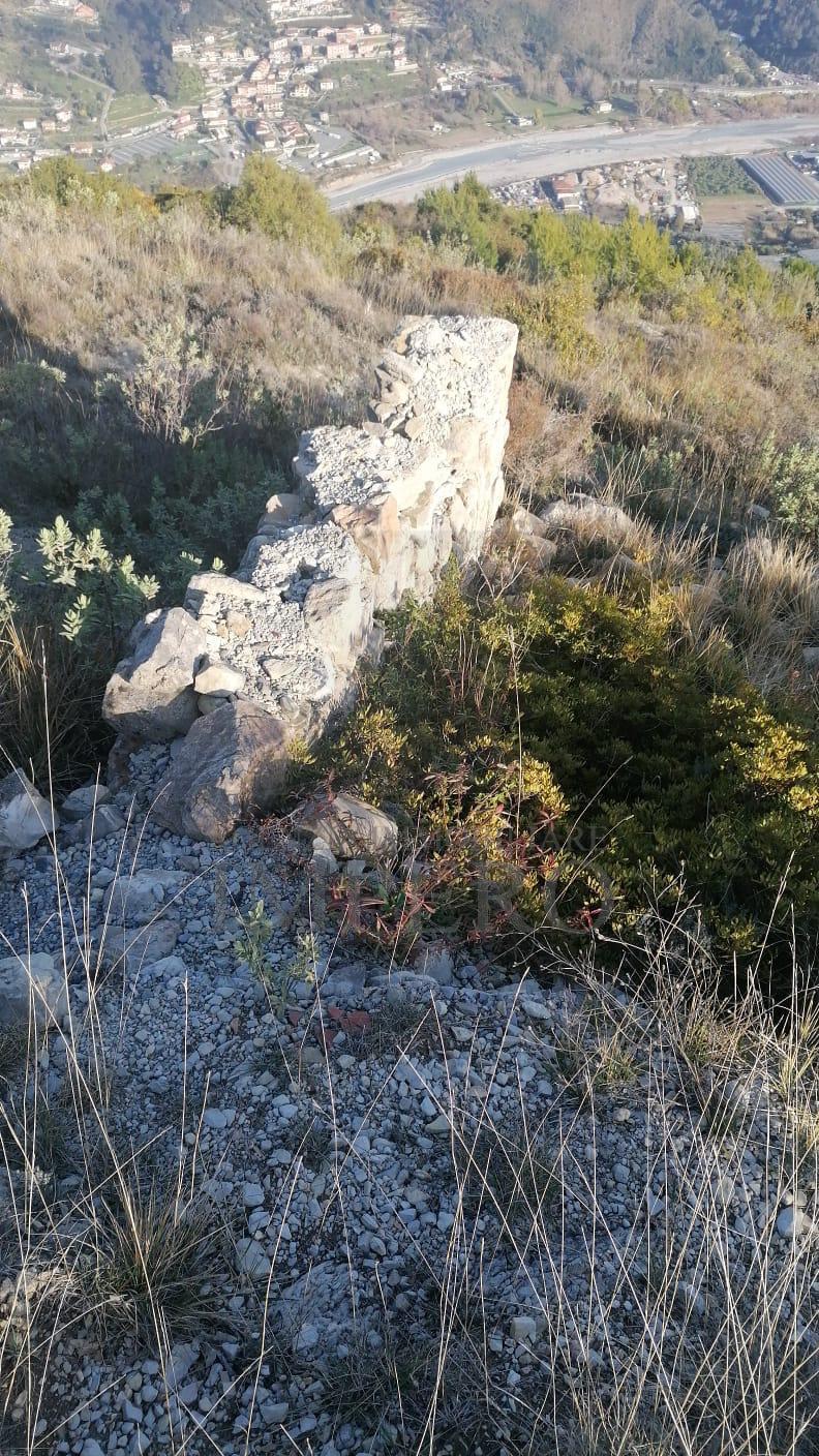 Foto annuncio 22