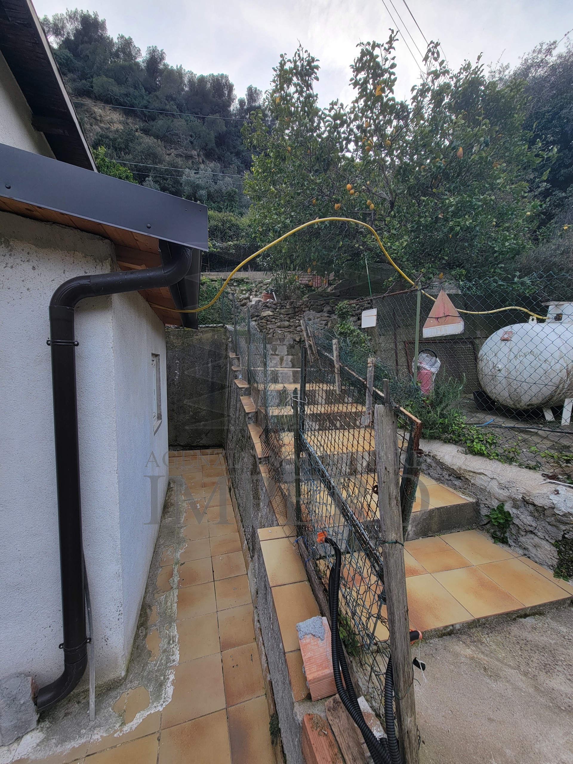Foto annuncio 5