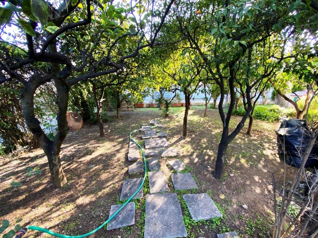 Immagine 11 di Villa in vendita  in Corso Alcide de Gasperi 376 a Bari