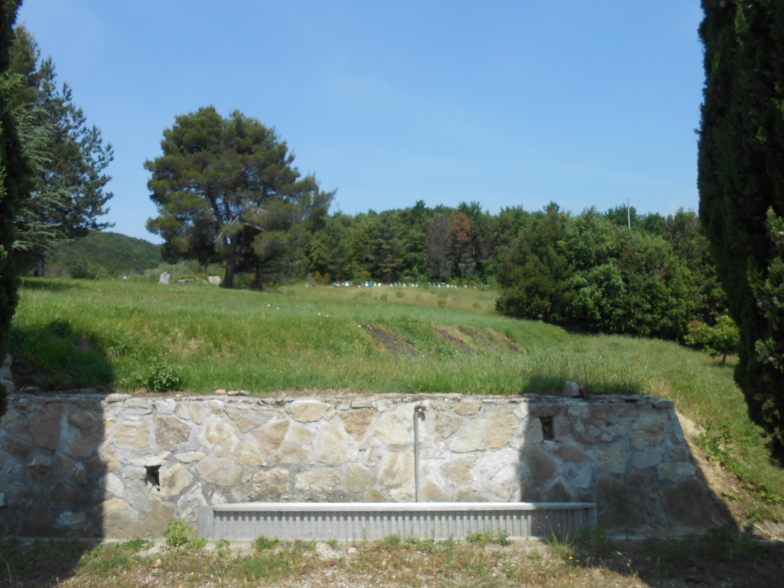 Immagine 19 di Rustico / casale in vendita  in Via per massaciuccoli a San Giuliano Terme