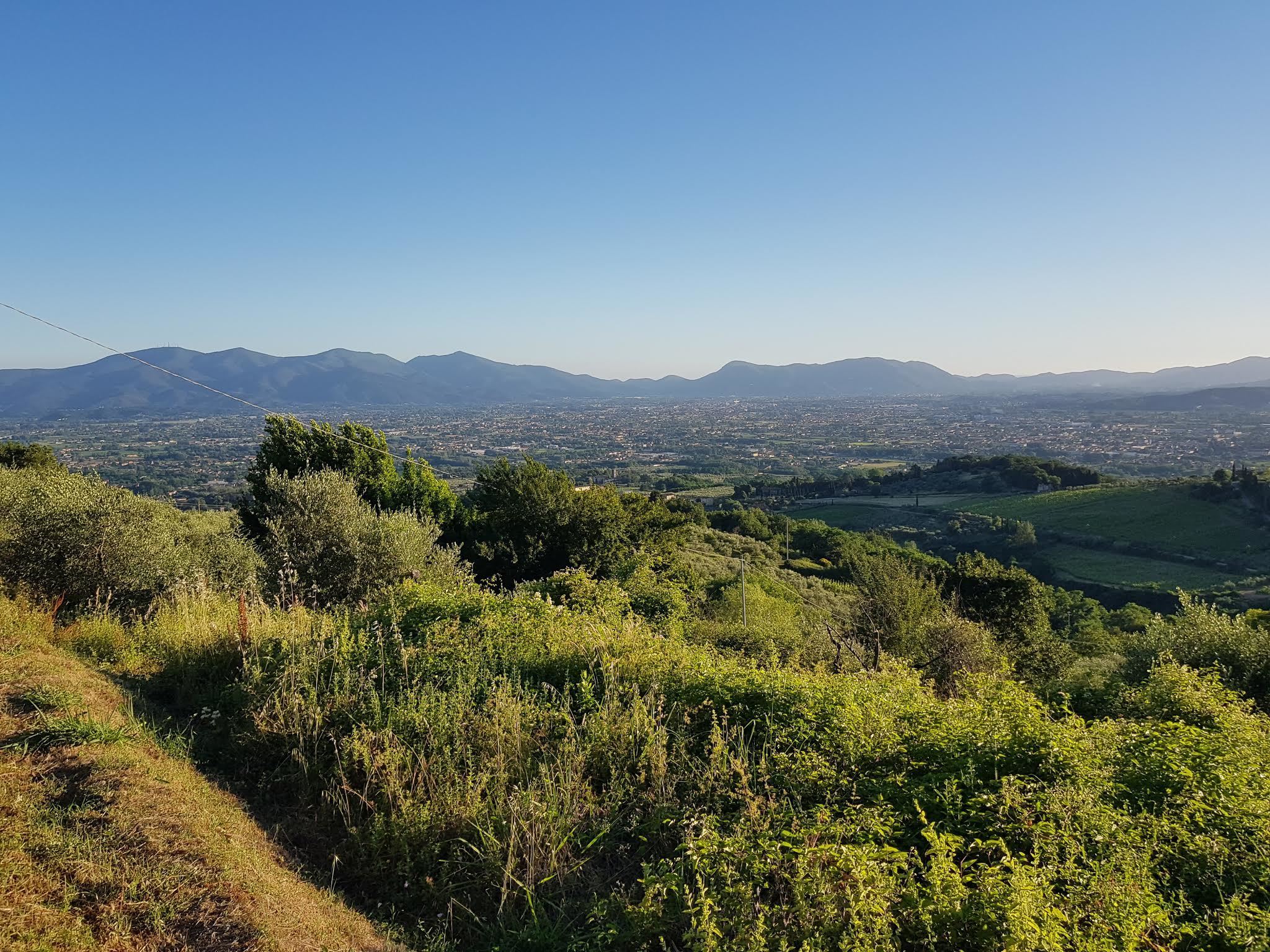 Immagine 12 di Rustico / casale in vendita  in Via di Matraia a Capannori