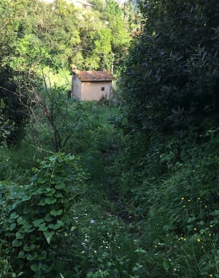 Foto annuncio 1
