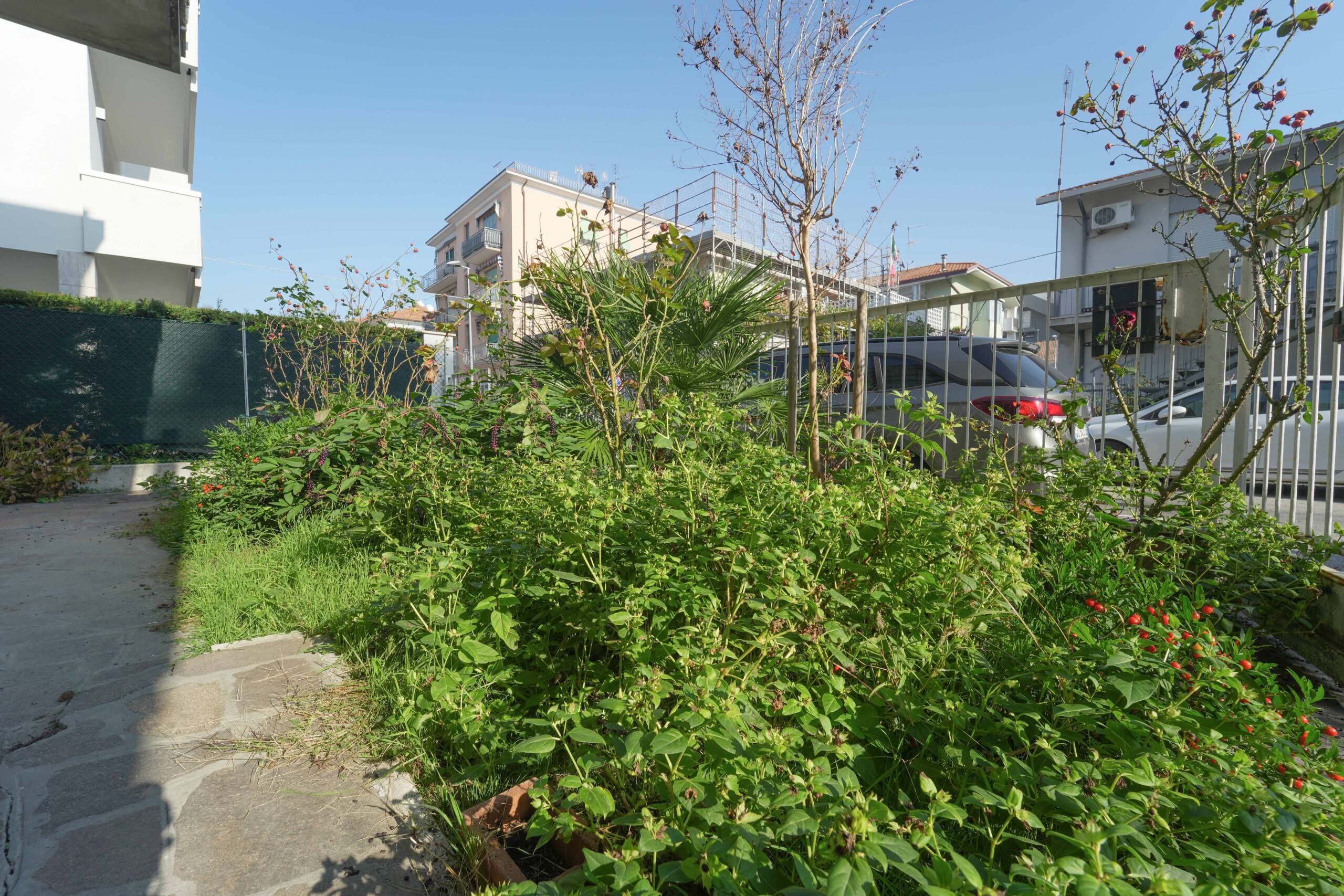 Immagine 23 di Pentalocale in vendita  in Viale San Bernardo 33 a Rimini