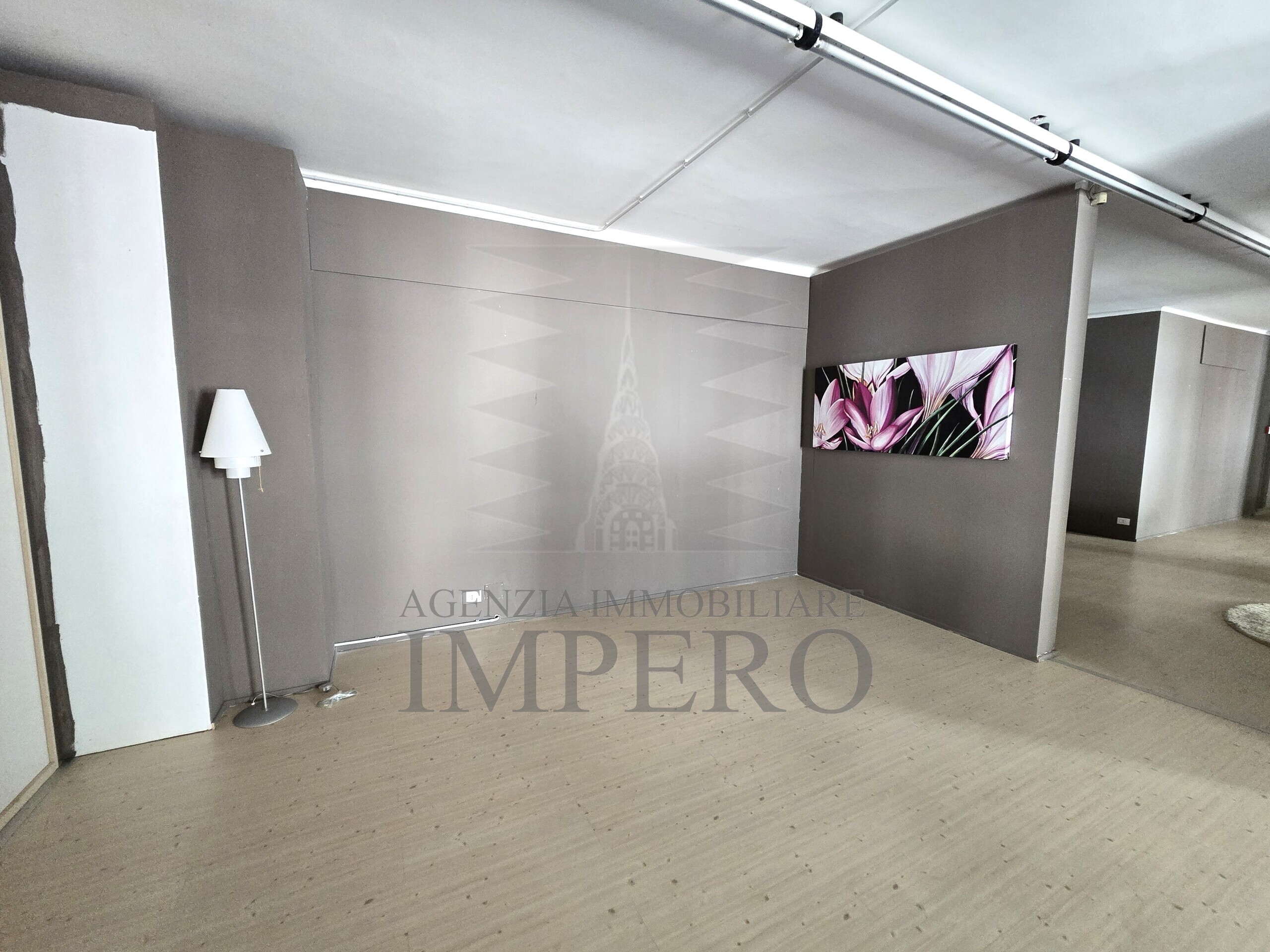 Foto annuncio 14