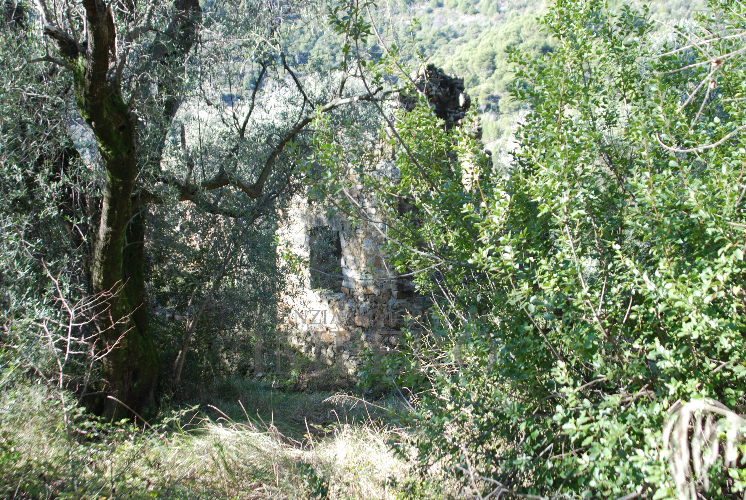 Foto annuncio 15