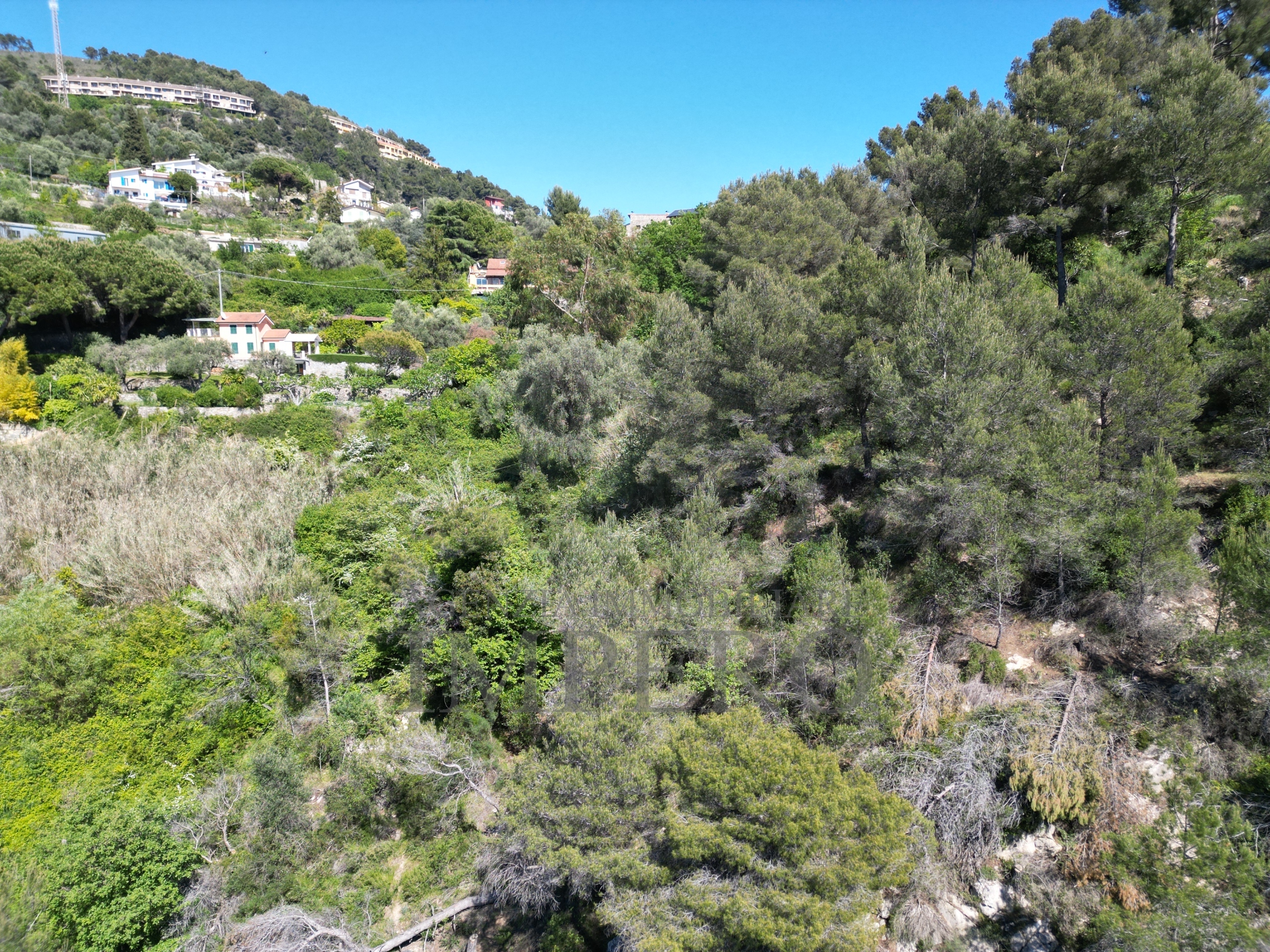 Foto annuncio 49