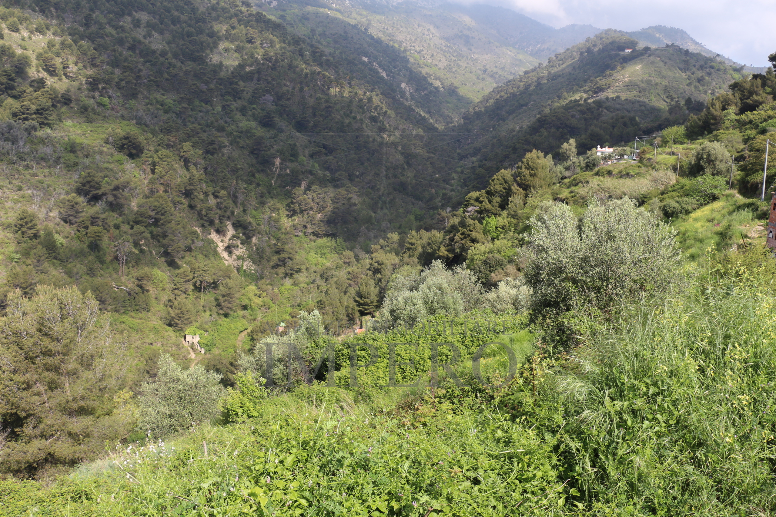 Foto annuncio 12