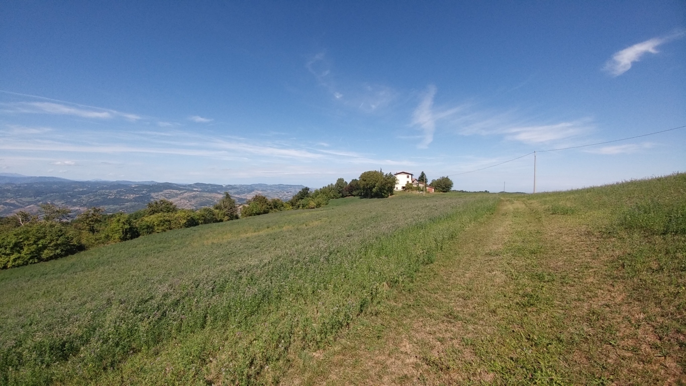 Immagine 45 di Rustico / casale in vendita  in Via Mauro Tesi 1046 a Zocca