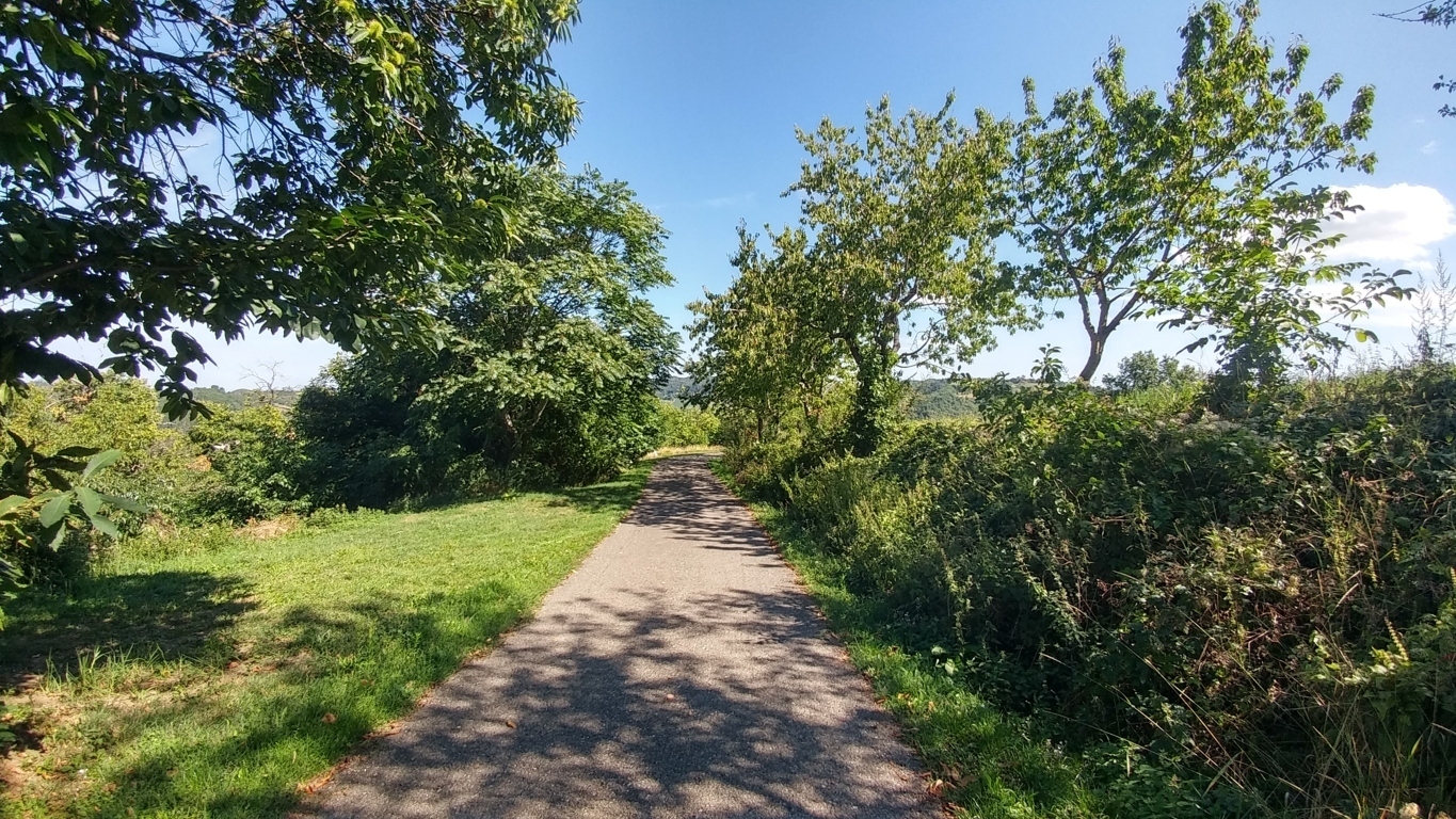 Immagine 49 di Rustico / casale in vendita  in Via Mauro Tesi 1046 a Zocca