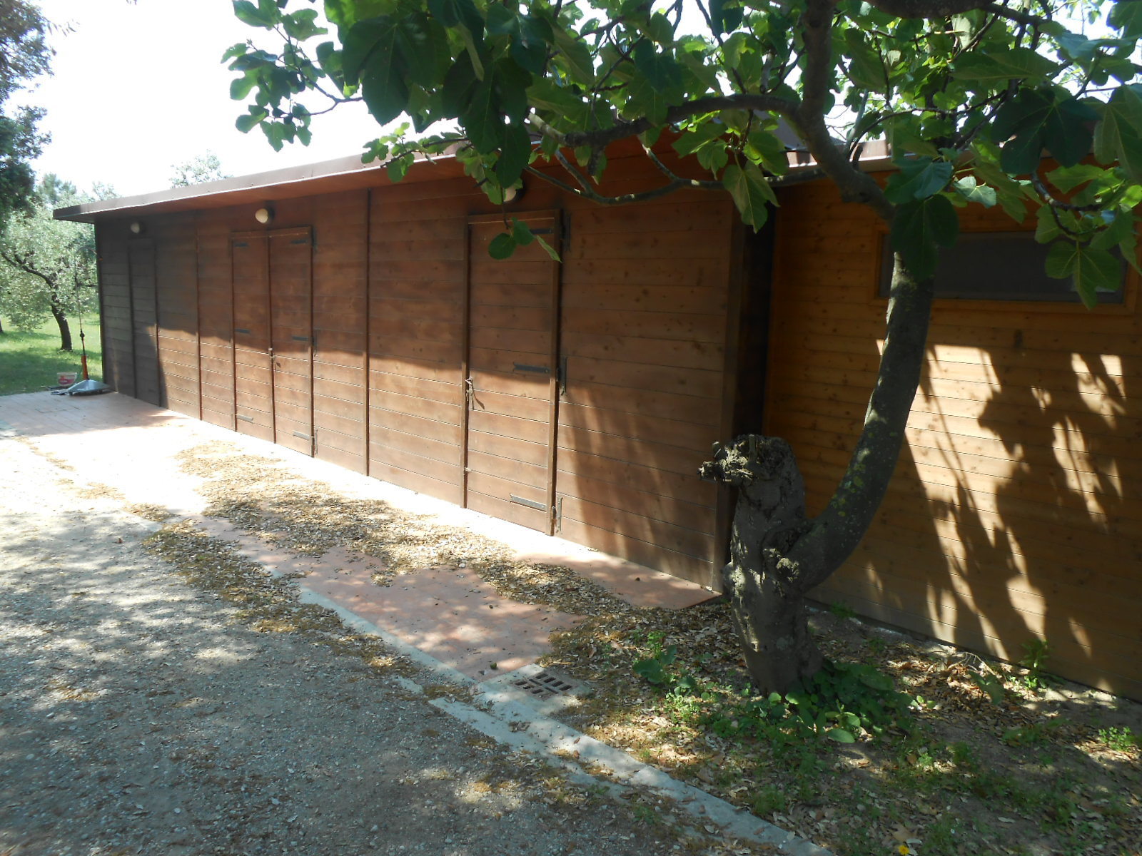 Immagine 43 di Rustico / casale in vendita  in Via per massaciuccoli a San Giuliano Terme