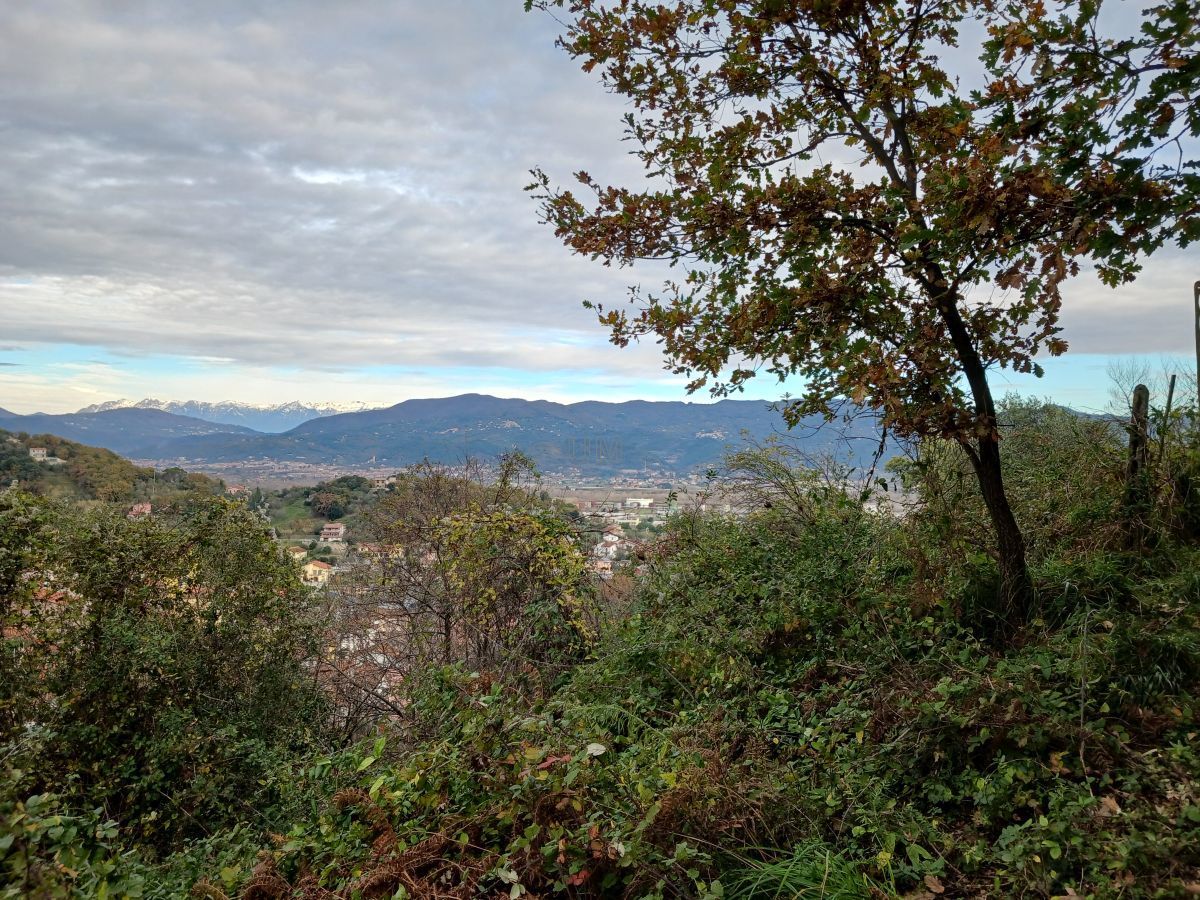 Immagine 11 di Casa indipendente in vendita  a Arcola