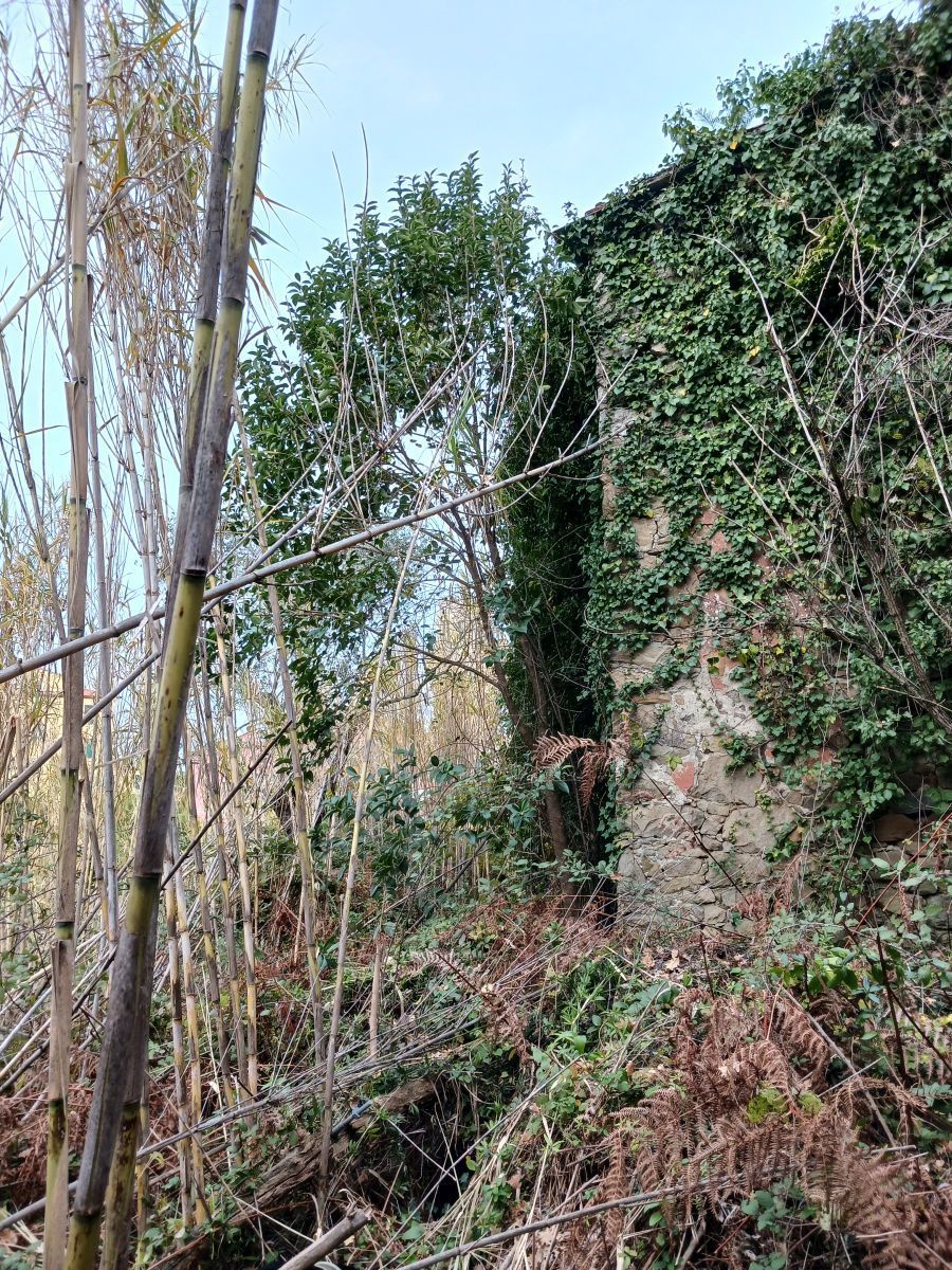 Immagine 7 di Casa indipendente in vendita  a Arcola