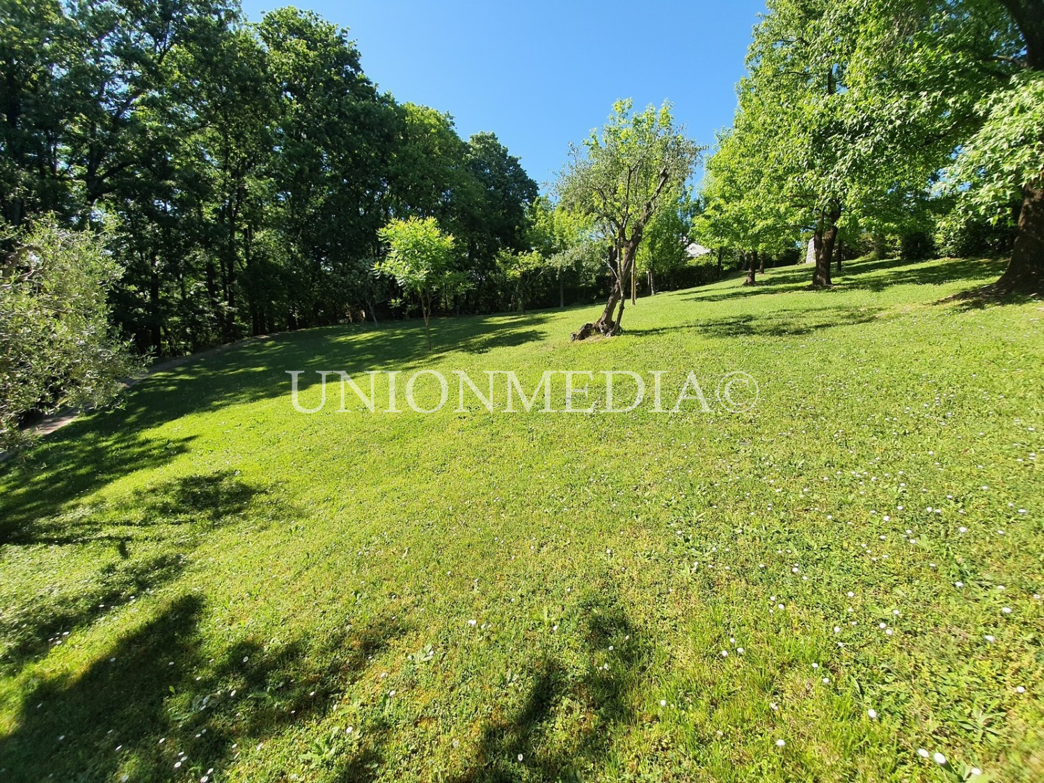 Immagine 11 di Villa in vendita  a Sarzana