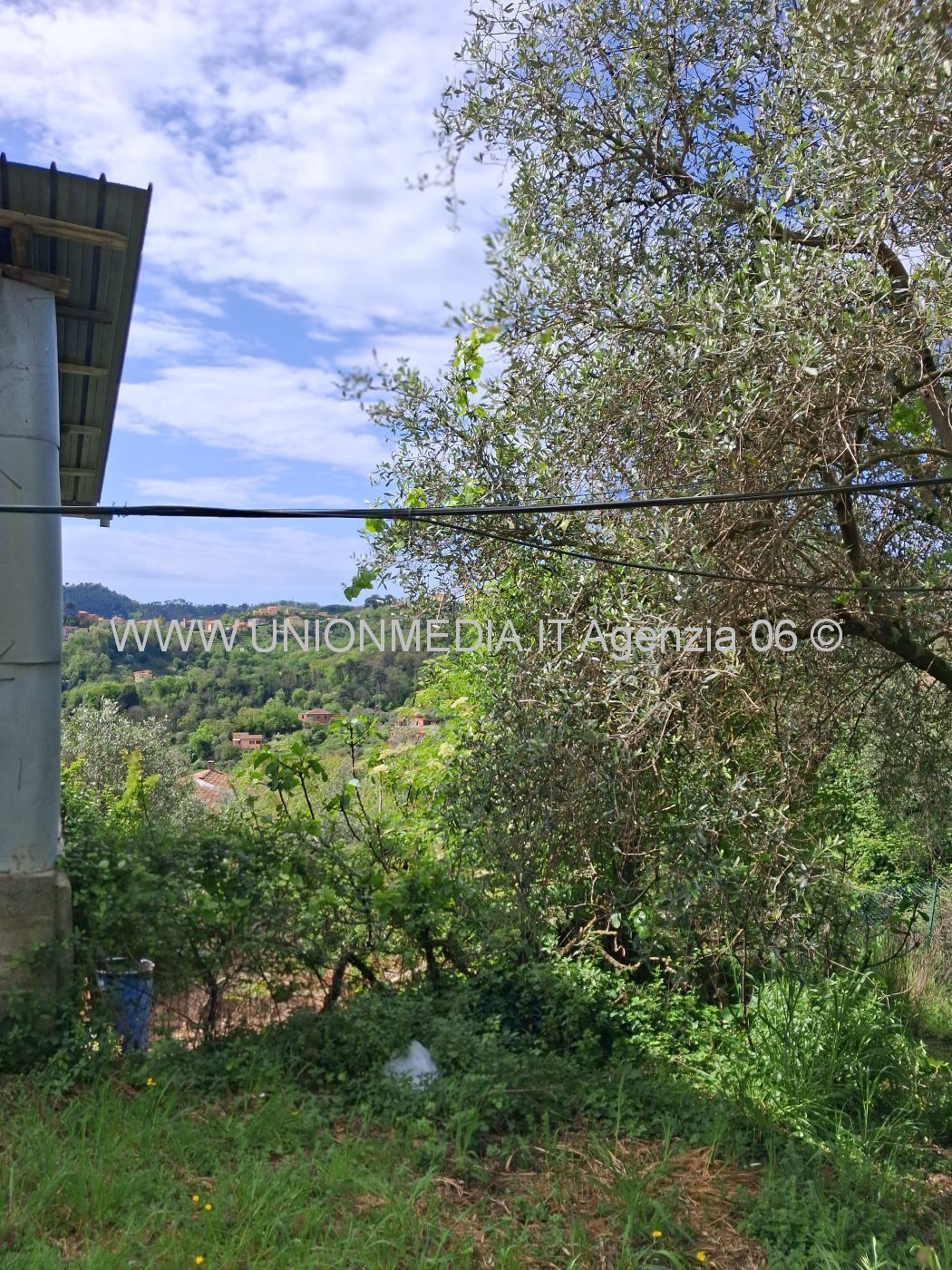 Foto annuncio 7