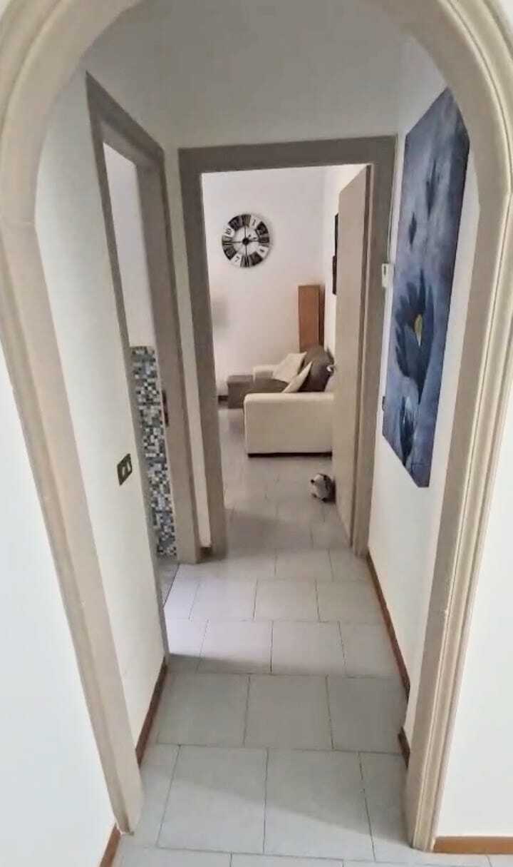 Immagine 7 di Appartamento in vendita  a Arcola