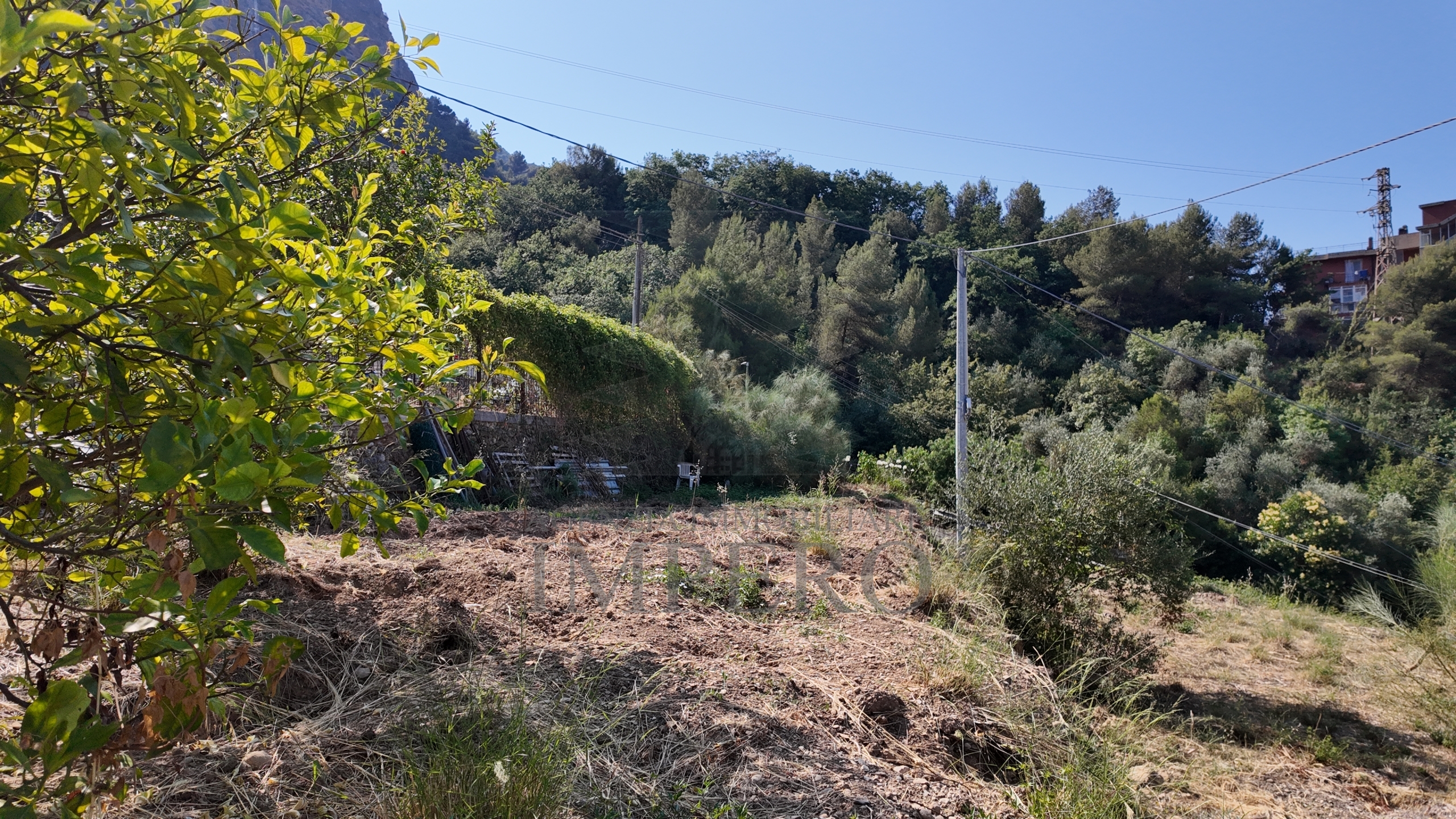 Foto annuncio 15