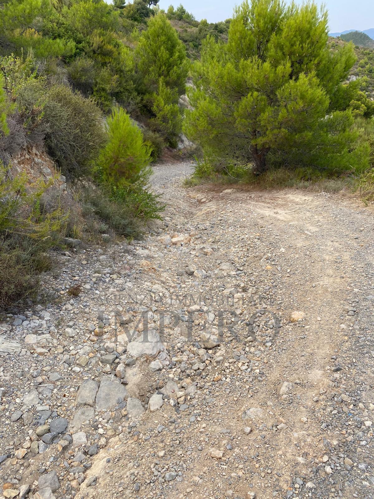 Foto annuncio 18