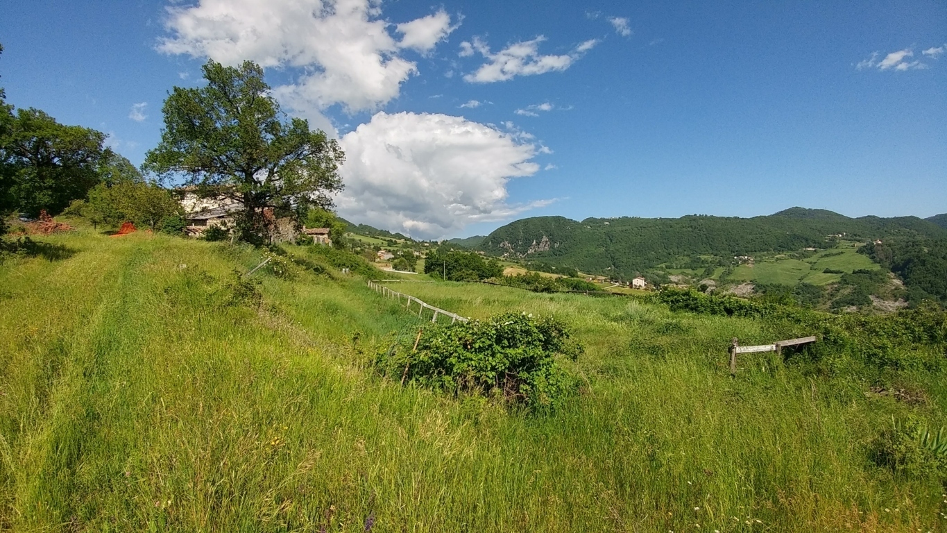 Immagine 8 di Rustico / casale in vendita  a Zocca