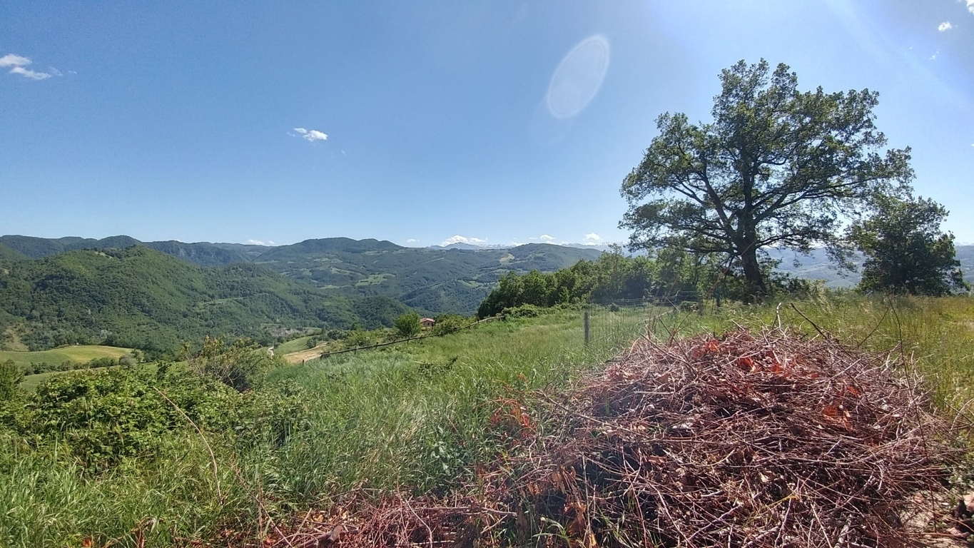 Immagine 16 di Rustico / casale in vendita  a Zocca