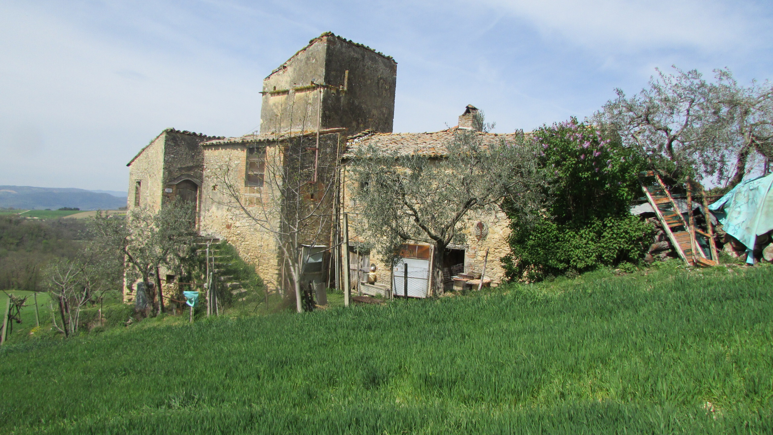 Foto annuncio 4