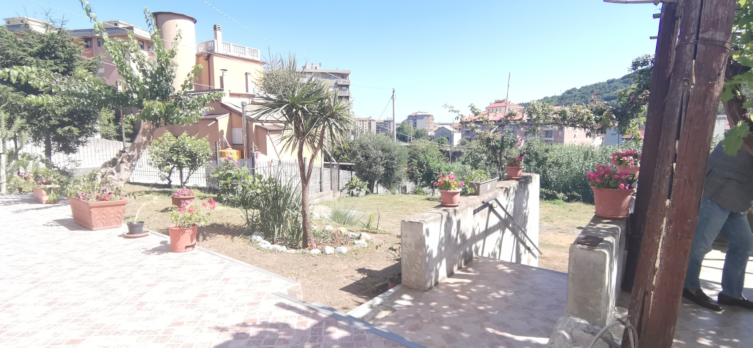 Foto annuncio 11