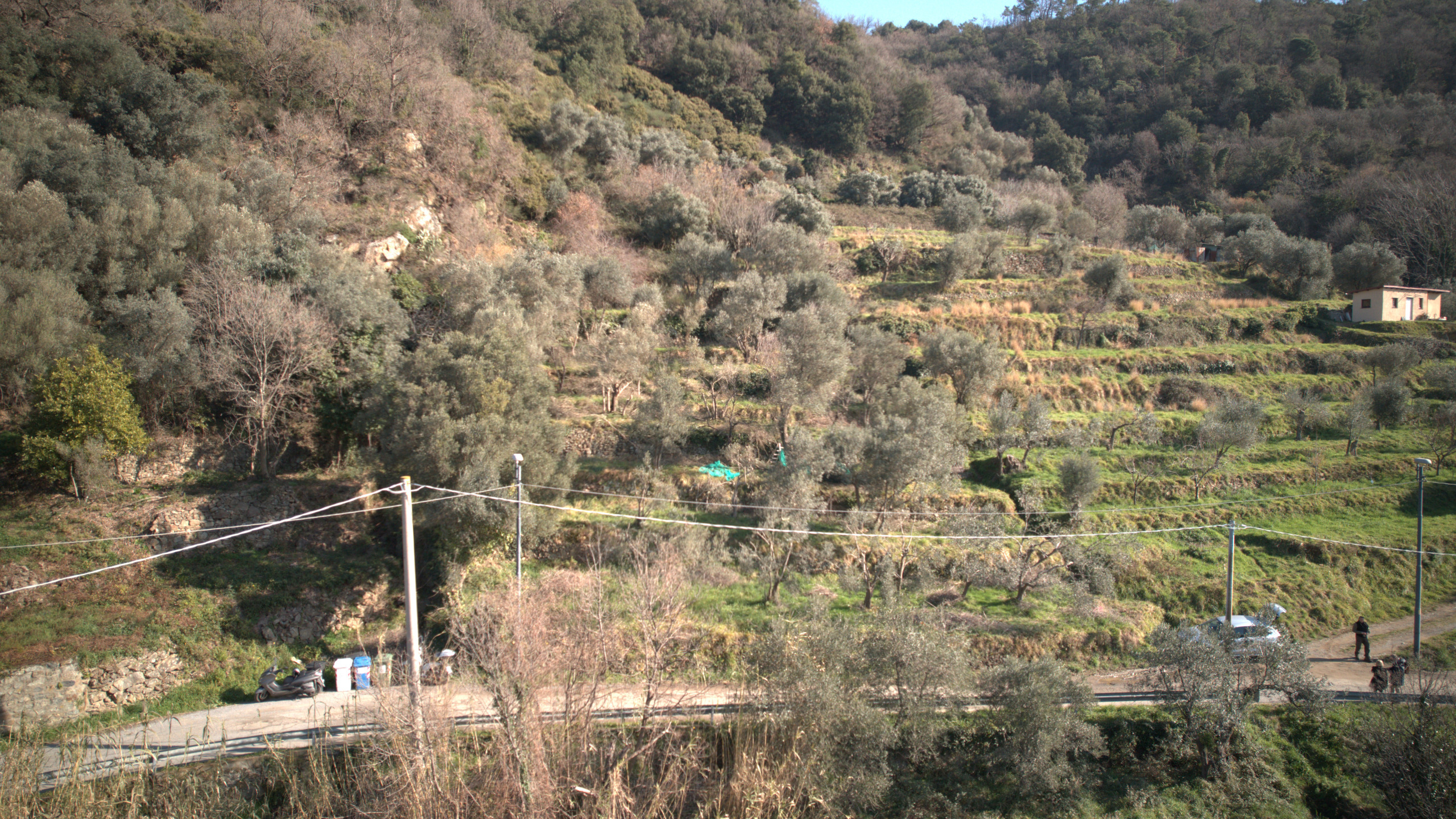 Foto annuncio 7