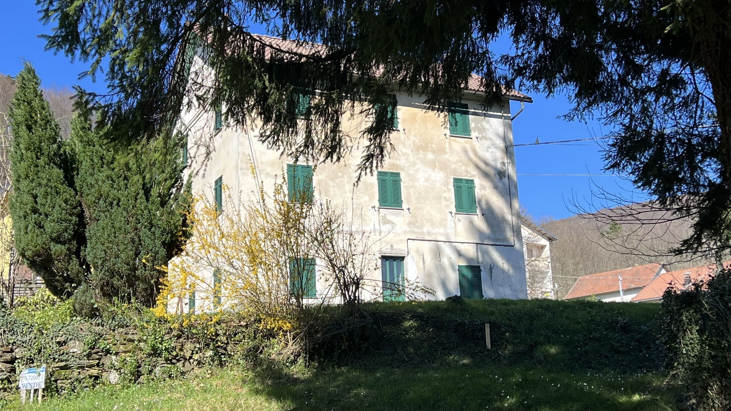 Foto annuncio 1